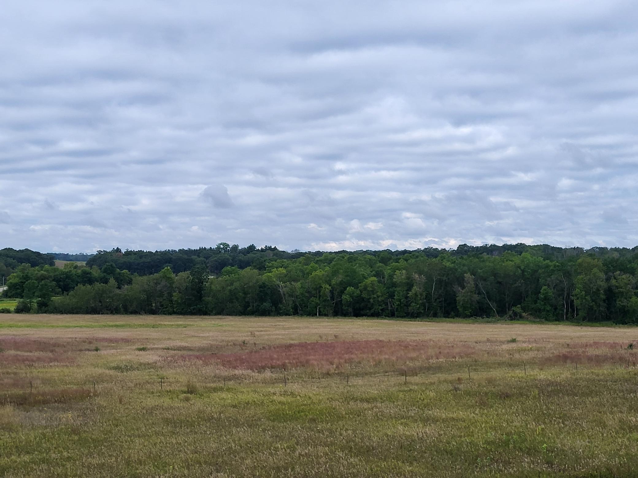2000 land for sale at 96 ac 150th Street in Verndale, MN (photo 5 of 26)