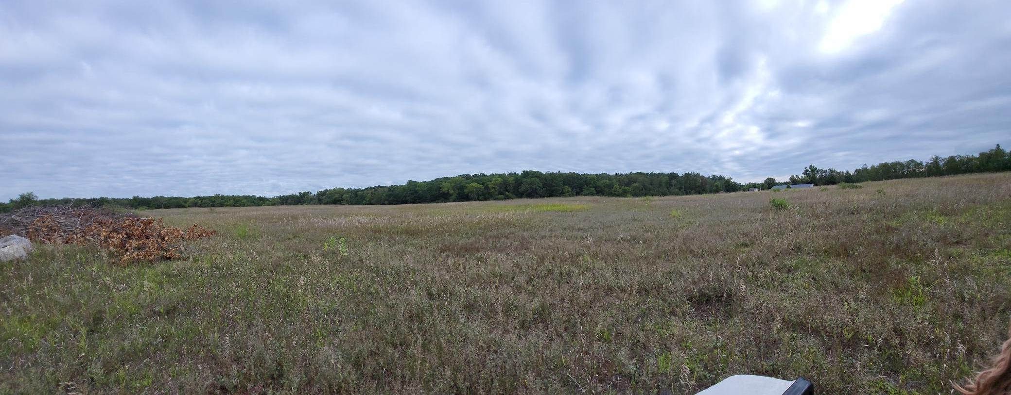 2000 land for sale at 96 ac 150th Street in Verndale, MN (photo 6 of 26)