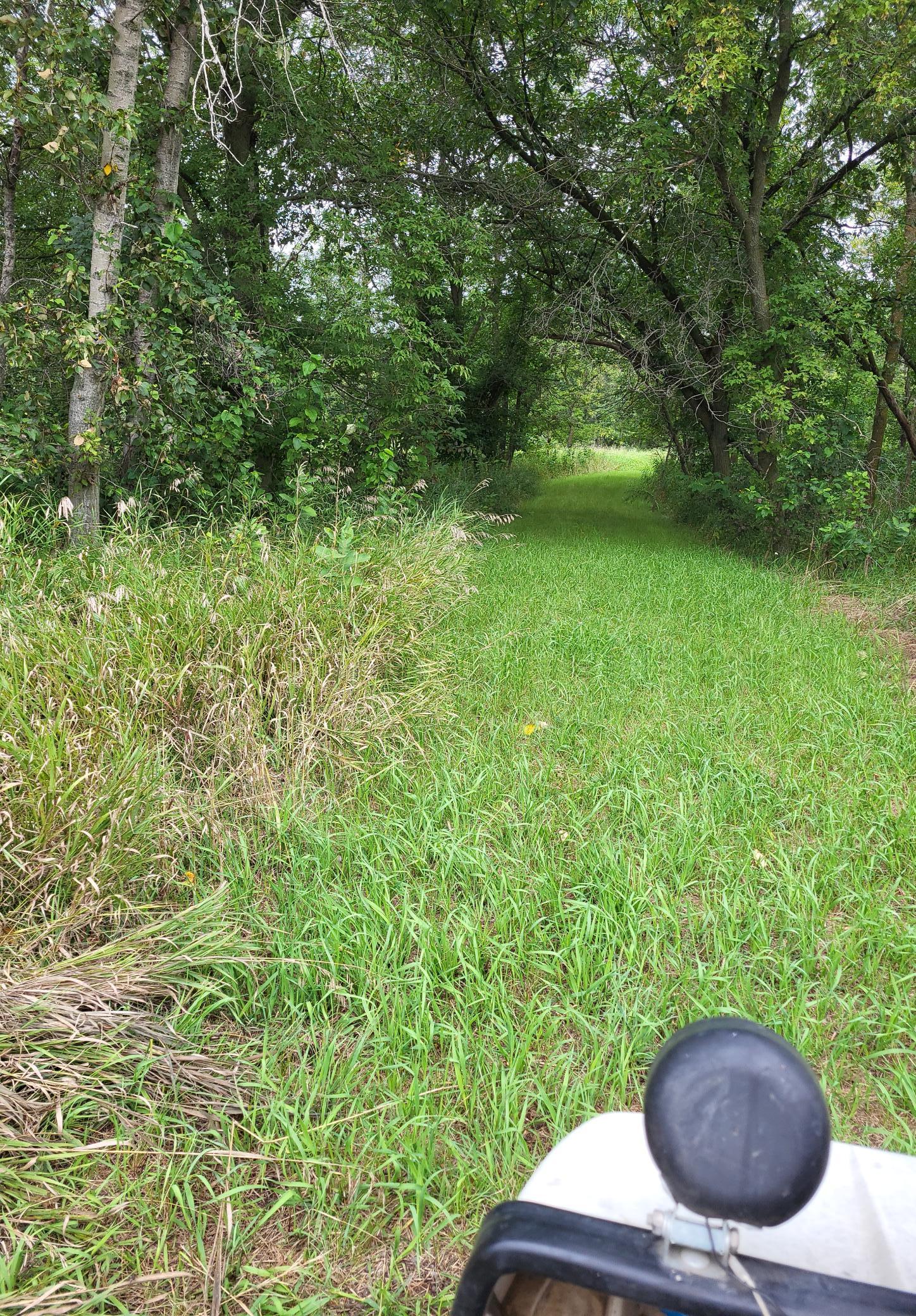 2000 land for sale at 96 ac 150th Street in Verndale, MN (photo 7 of 26)