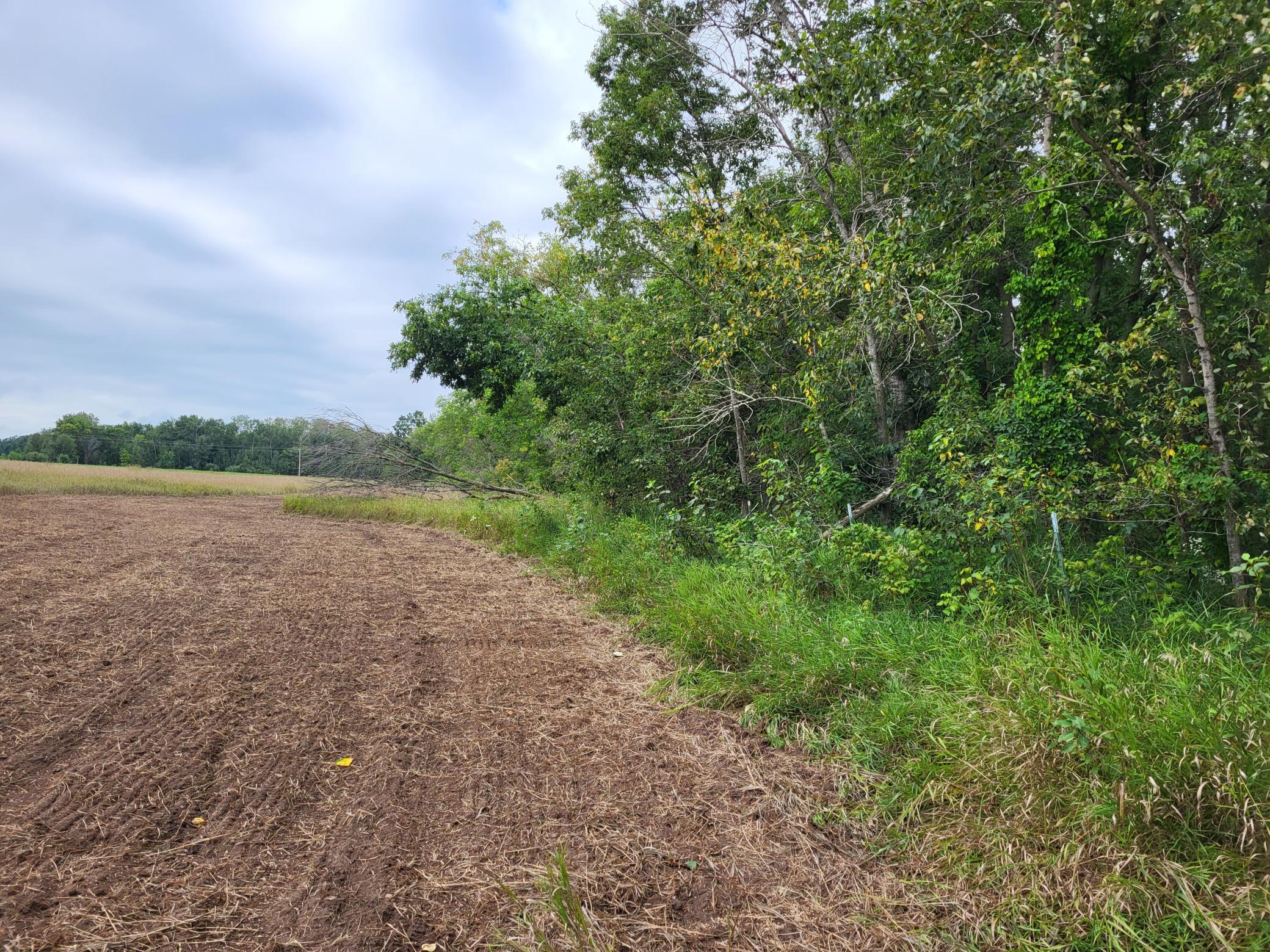 2000 land for sale at 96 ac 150th Street in Verndale, MN (photo 8 of 26)