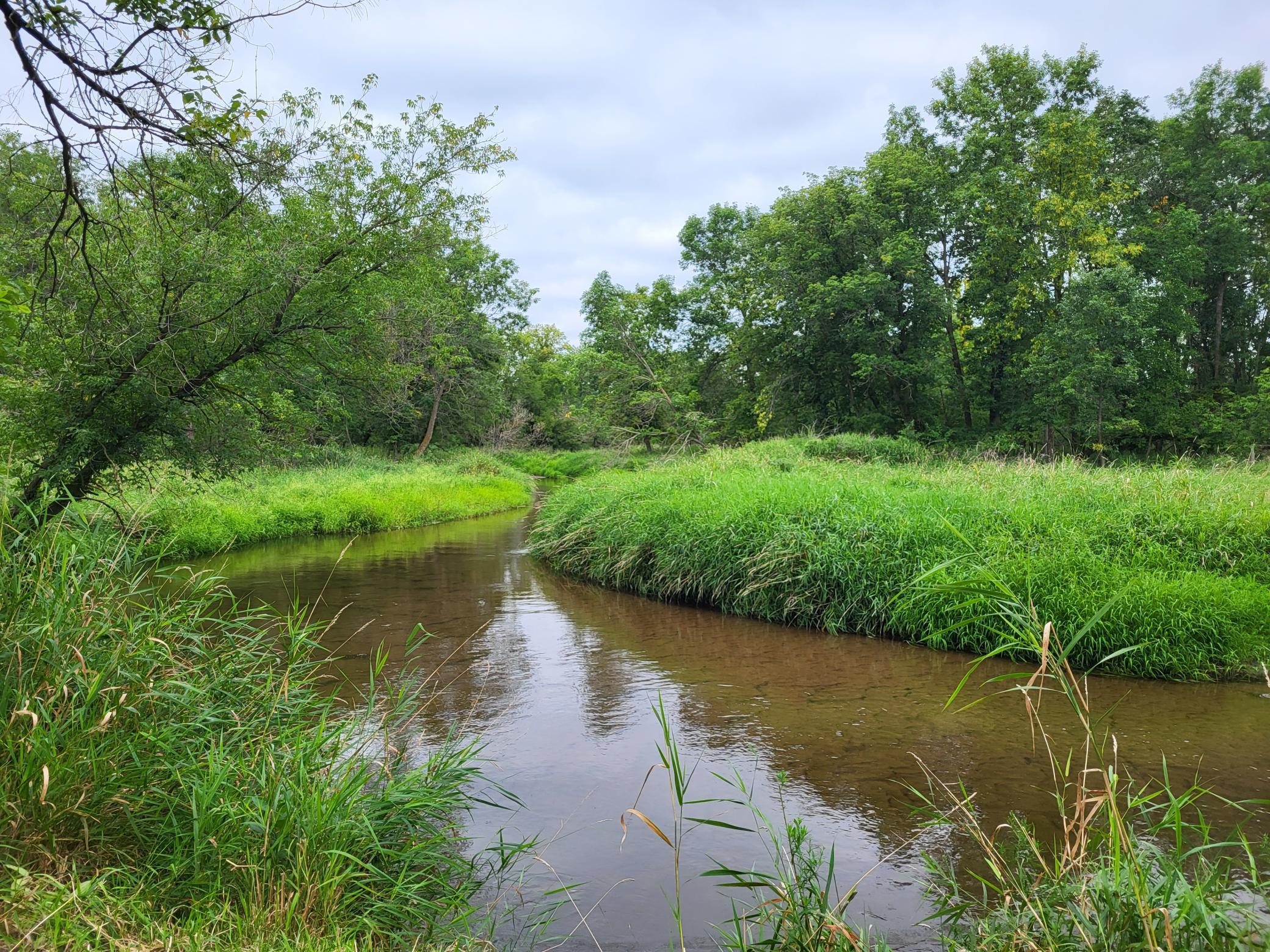 2000 land for sale at 96 ac 150th Street in Verndale, MN (photo 10 of 26)