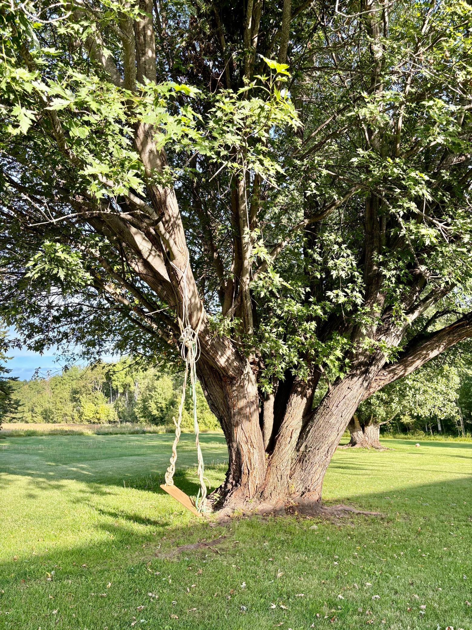 1998 single family home for sale at 2891 State Highway 172 NW in Baudette, MN — 4 bed, 2 bath (photo 12 of 36)