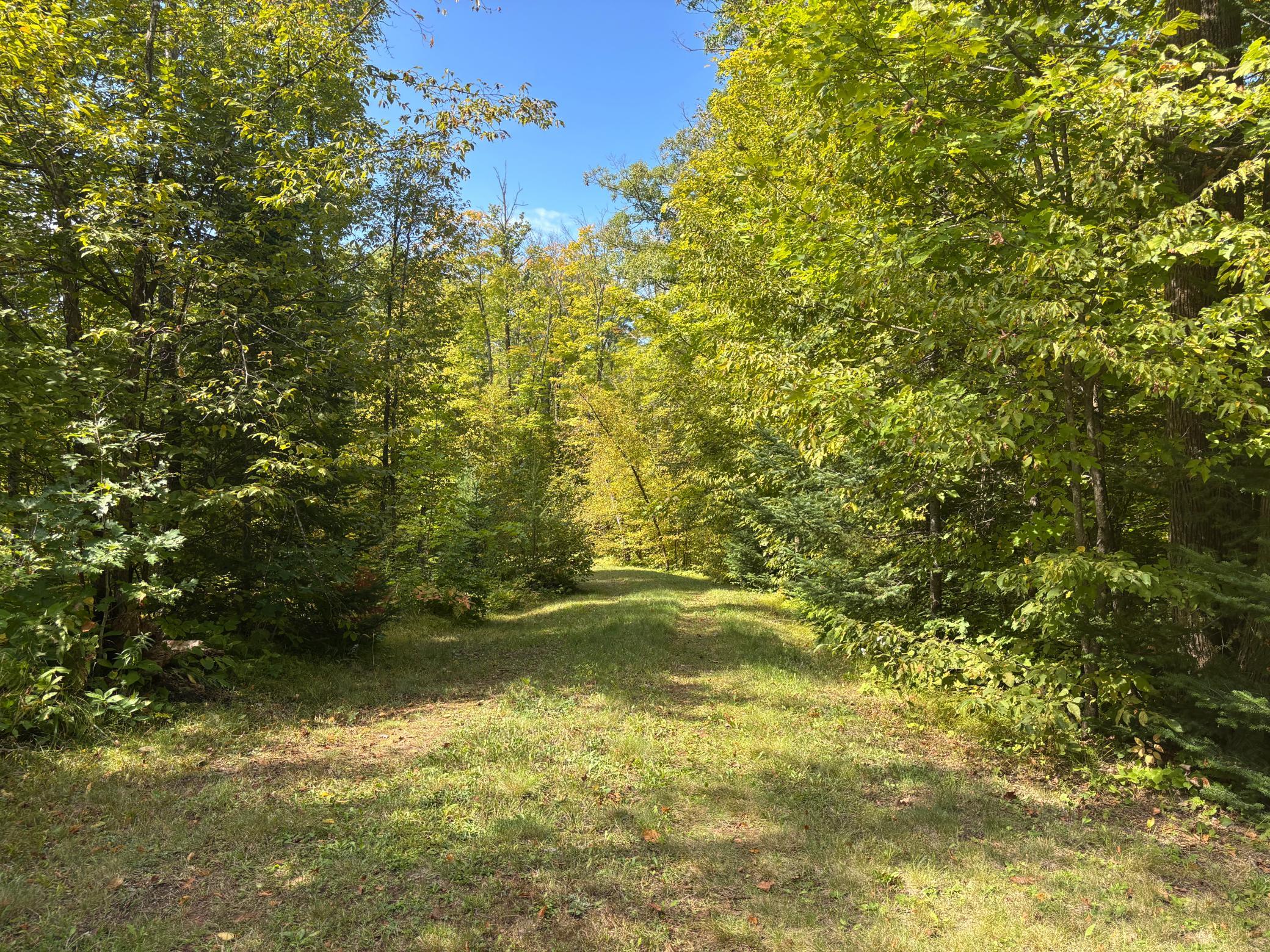 land for sale at XXXX State Hwy 27 in Sturgeon Lake, MN (photo 13 of 19)