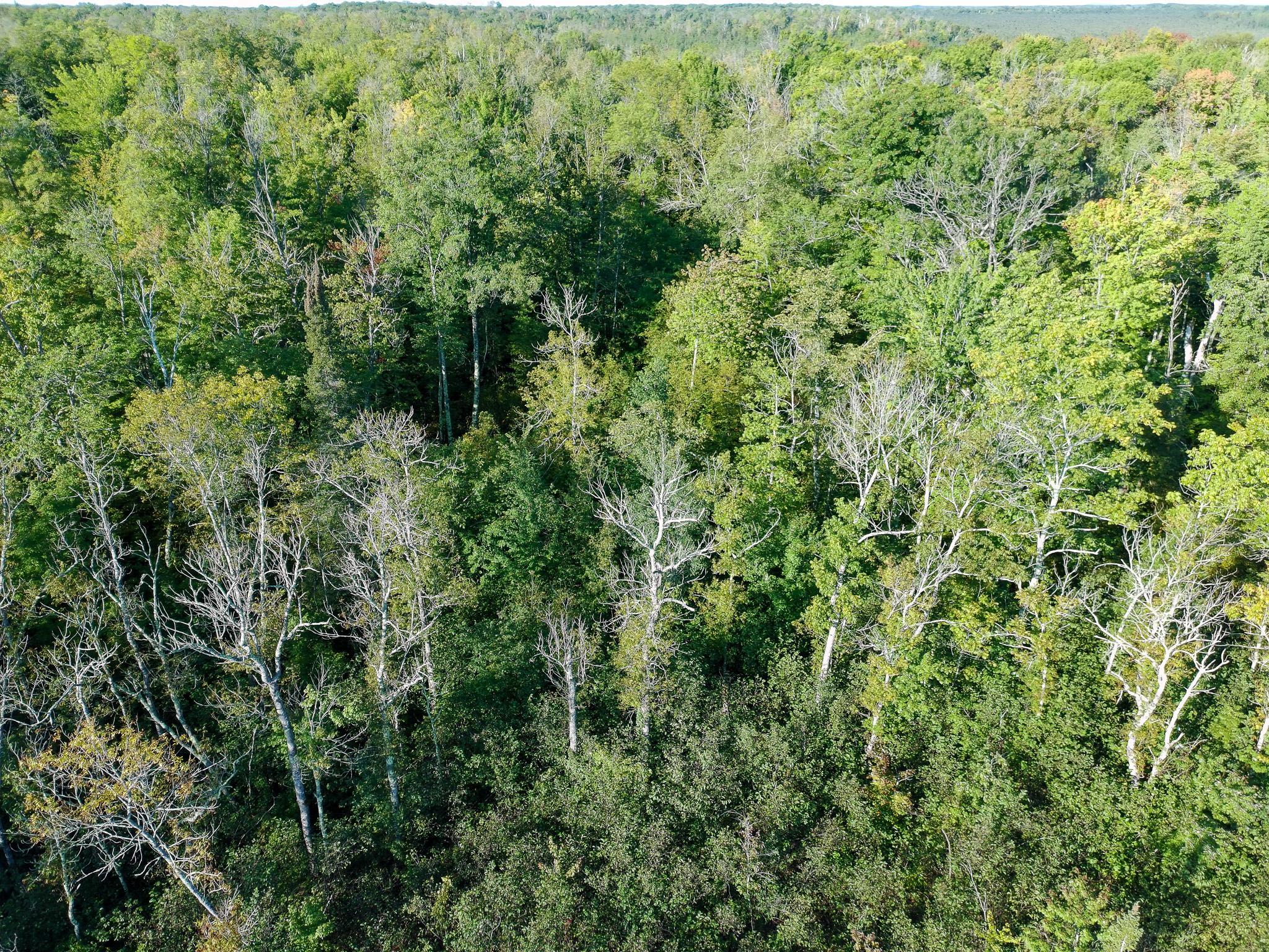 land for sale at XXXX State Hwy 27 in Sturgeon Lake, MN (photo 14 of 19)