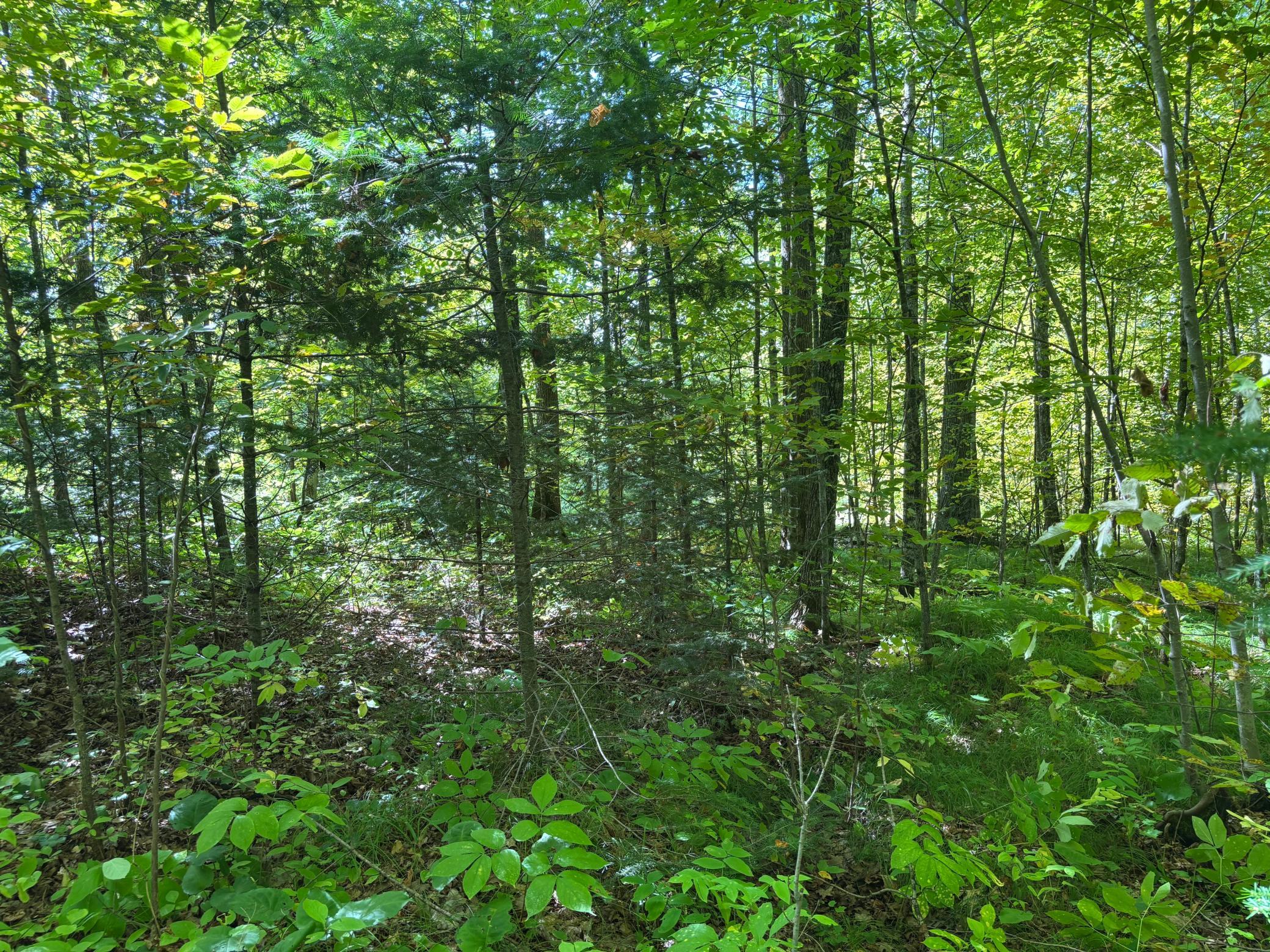 land for sale at XXXX State Hwy 27 in Sturgeon Lake, MN (photo 16 of 19)