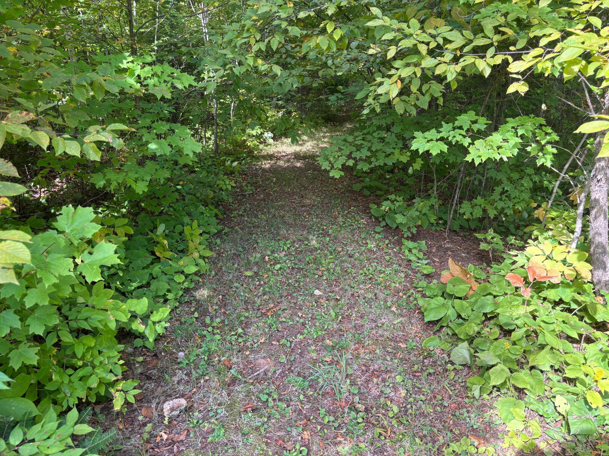 land for sale at XXXX State Hwy 27 in Sturgeon Lake, MN (photo 17 of 19)