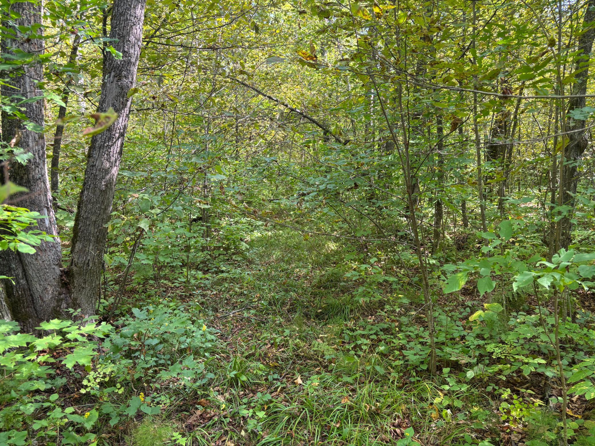 land for sale at XXXX State Hwy 27 in Sturgeon Lake, MN (photo 18 of 19)