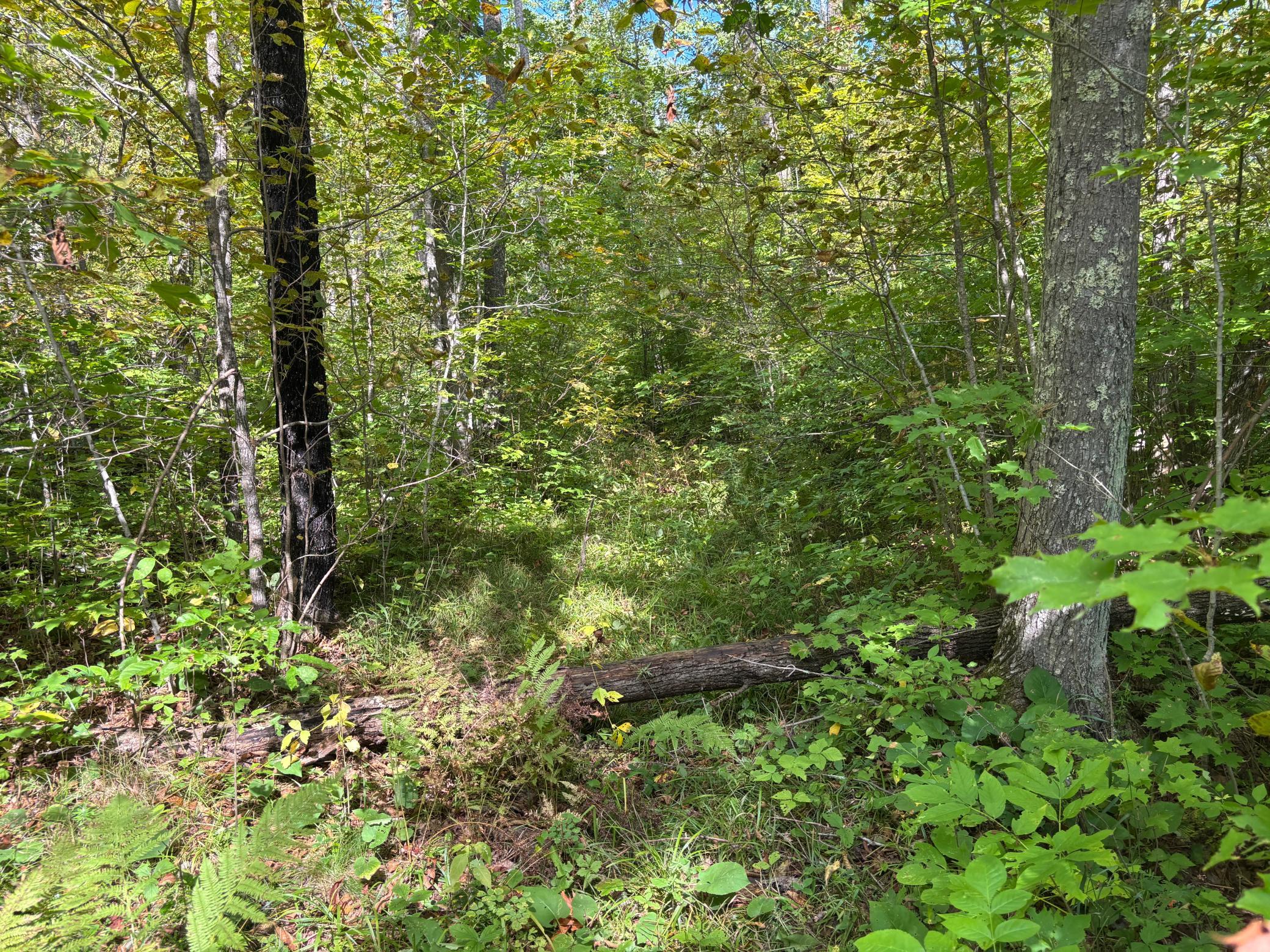 land for sale at XXXX State Hwy 27 in Sturgeon Lake, MN (photo 19 of 19)