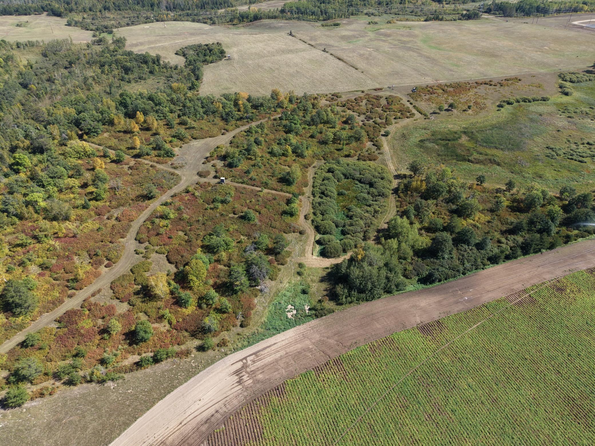 land for sale at TBD County Road 152 in Park Rapids, MN (photo 11 of 28)