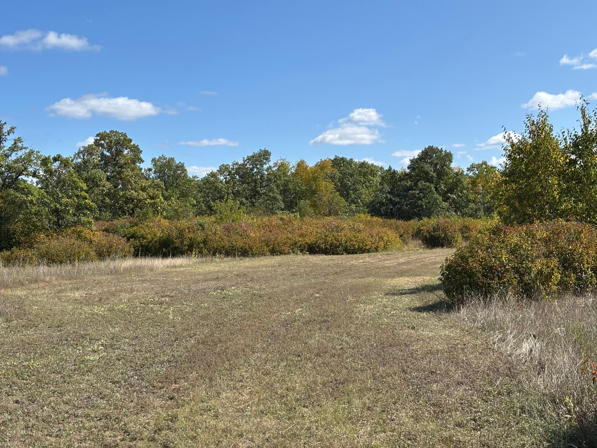 land for sale at TBD County Road 152 in Park Rapids, MN (photo 12 of 28)