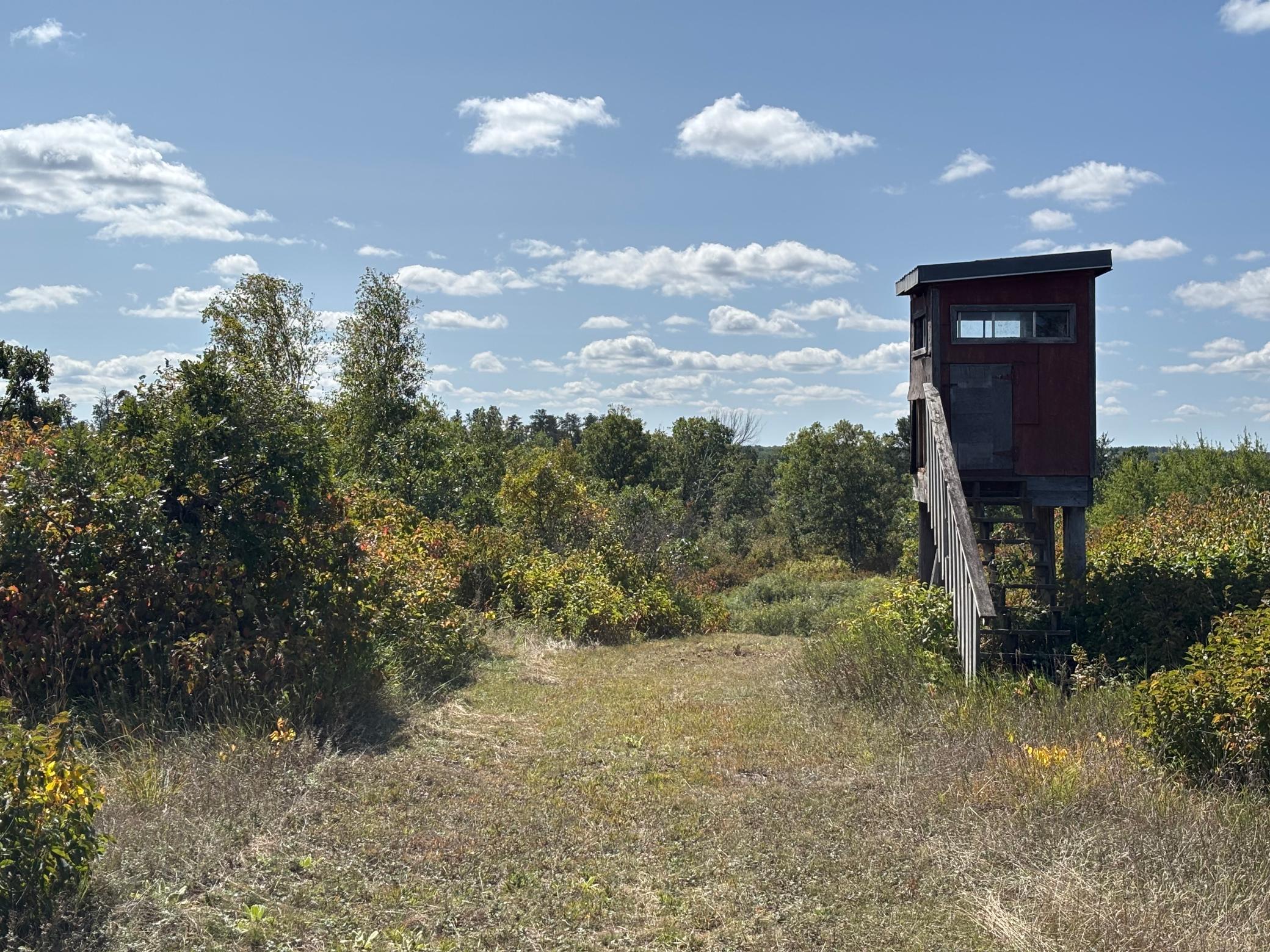 land for sale at TBD County Road 152 in Park Rapids, MN (photo 13 of 28)