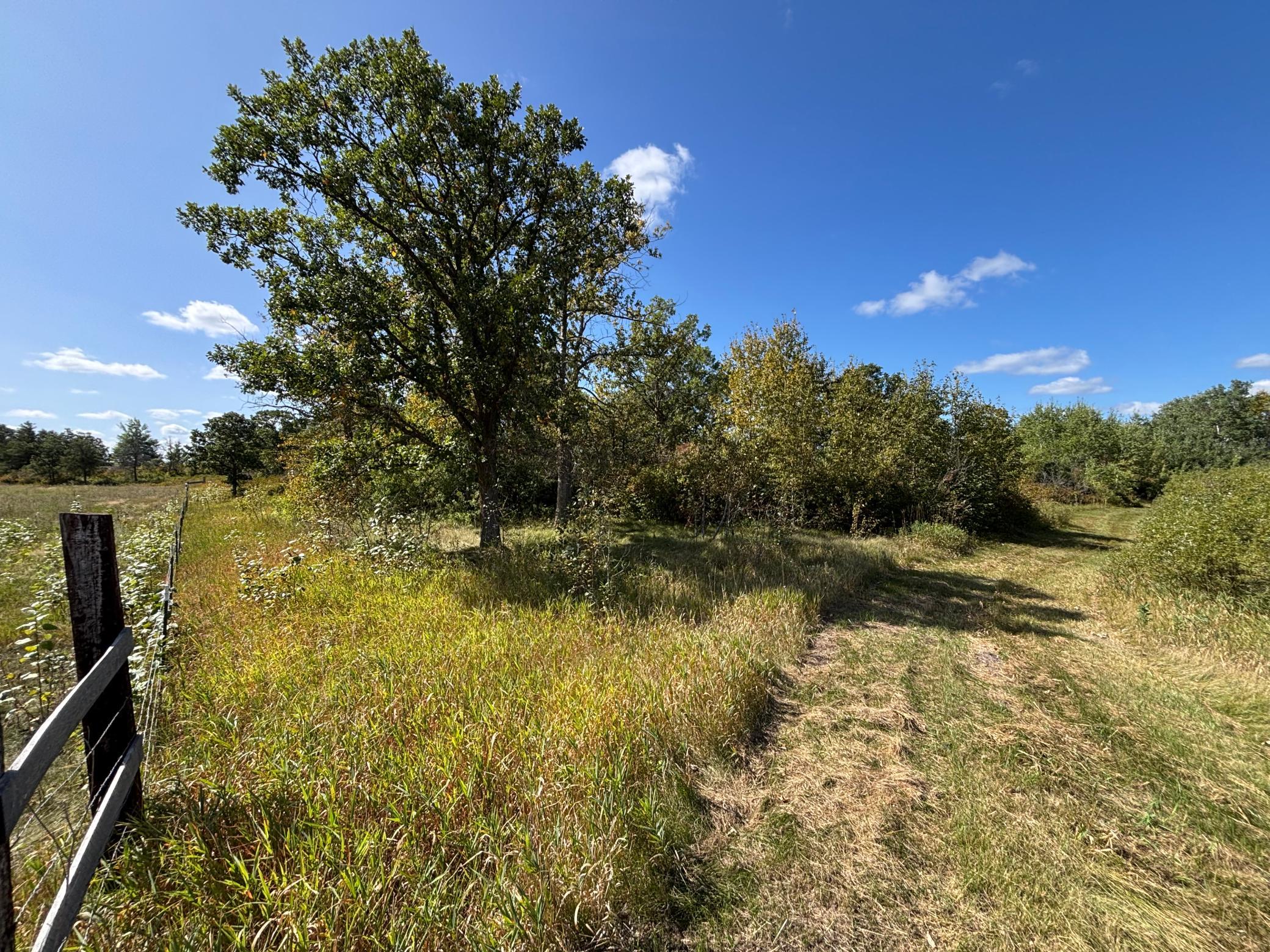 land for sale at TBD County Road 152 in Park Rapids, MN (photo 14 of 28)