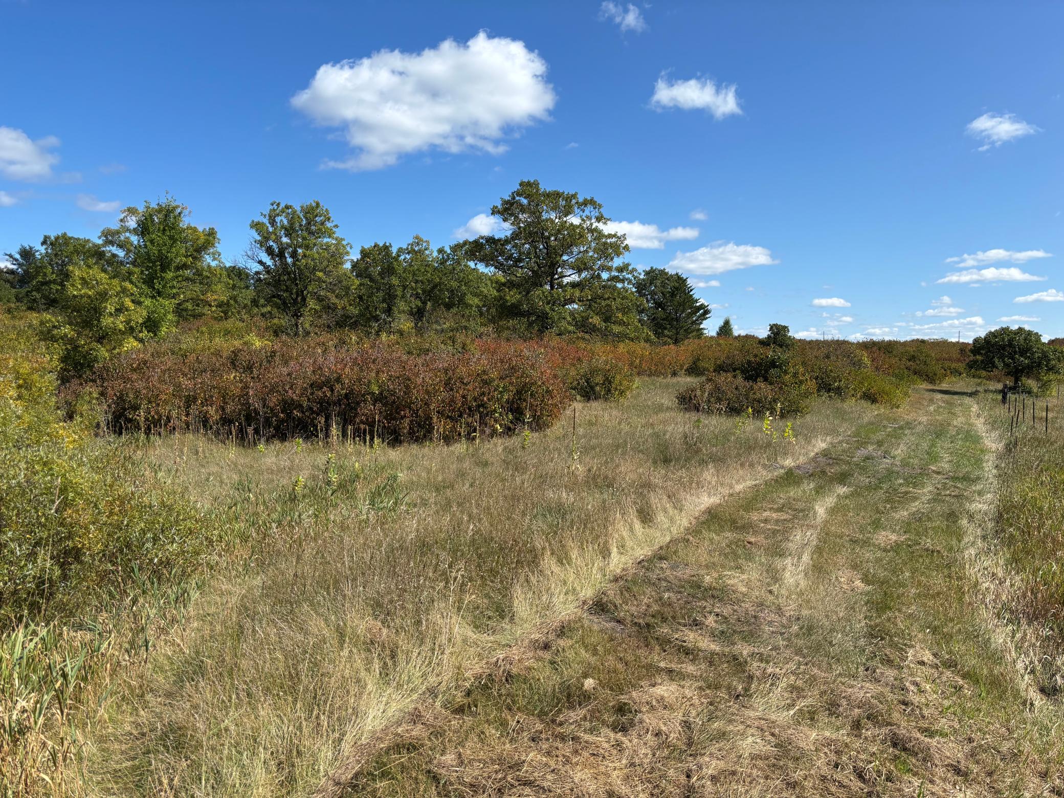 land for sale at TBD County Road 152 in Park Rapids, MN (photo 15 of 28)