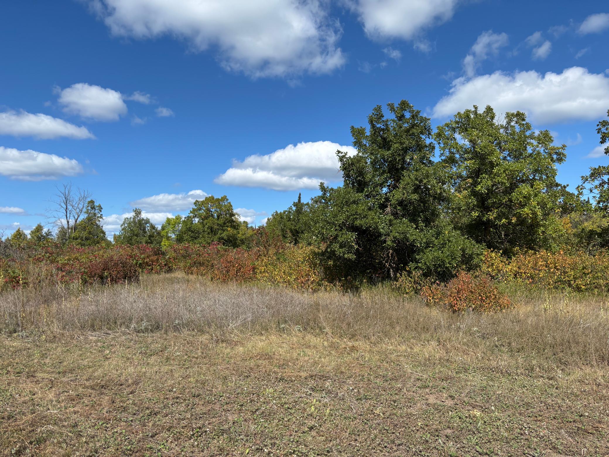 land for sale at TBD County Road 152 in Park Rapids, MN (photo 16 of 28)