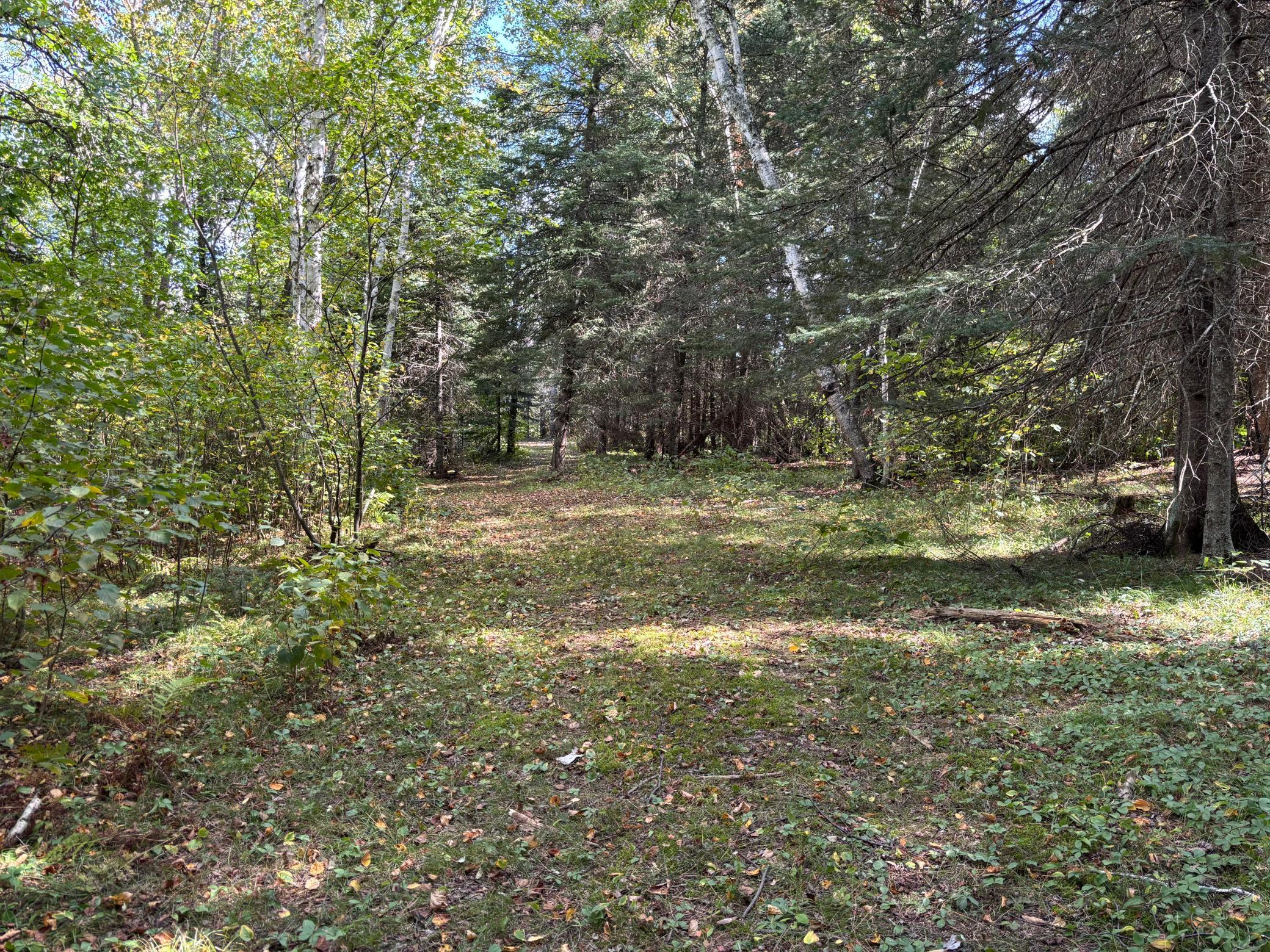 land for sale at TBD County Road 152 in Park Rapids, MN (photo 17 of 28)