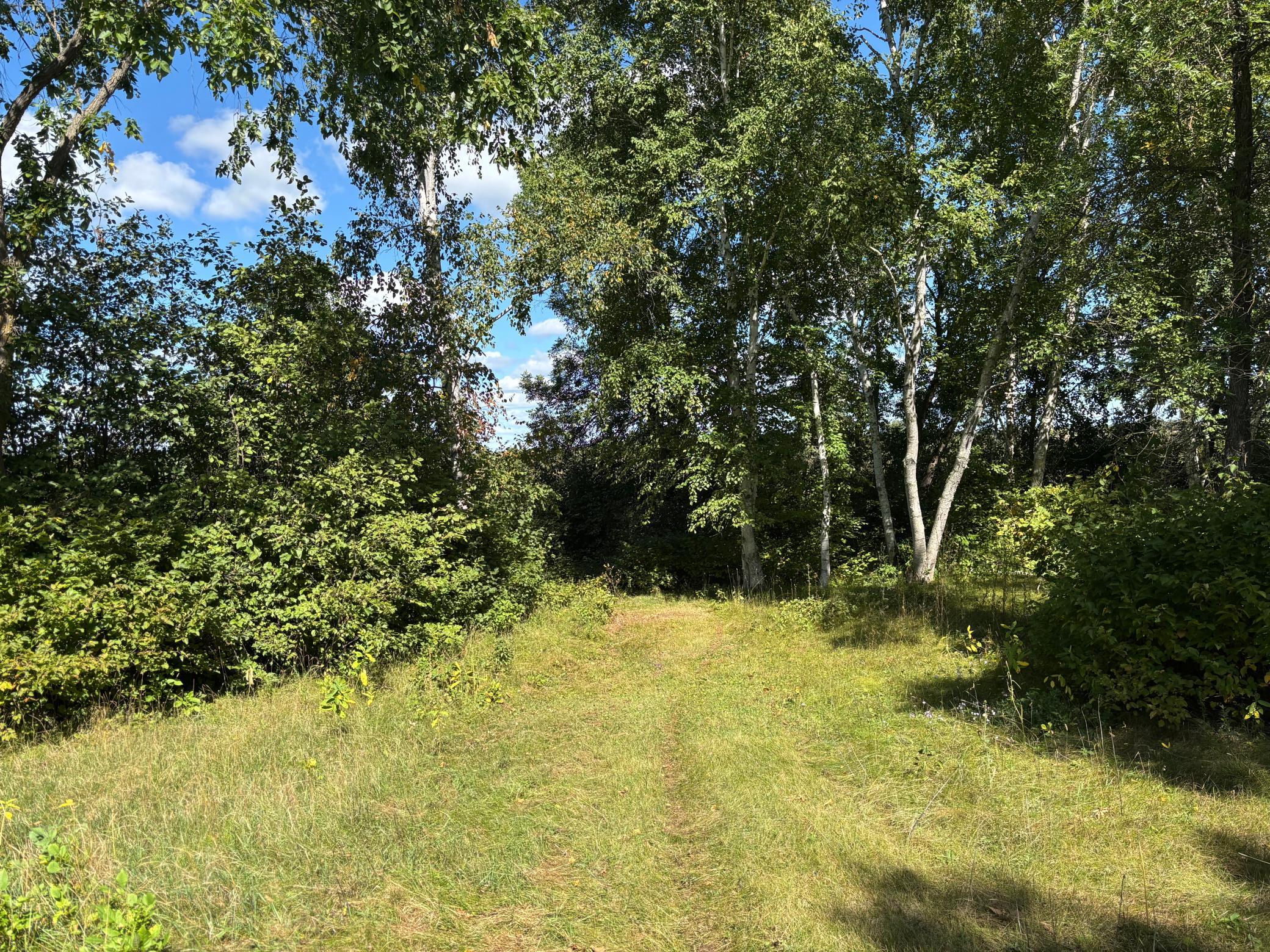land for sale at TBD County Road 152 in Park Rapids, MN (photo 18 of 28)