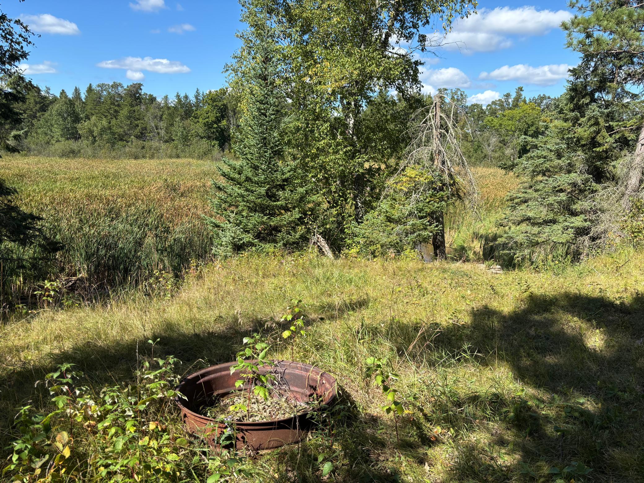 land for sale at TBD County Road 152 in Park Rapids, MN (photo 19 of 28)