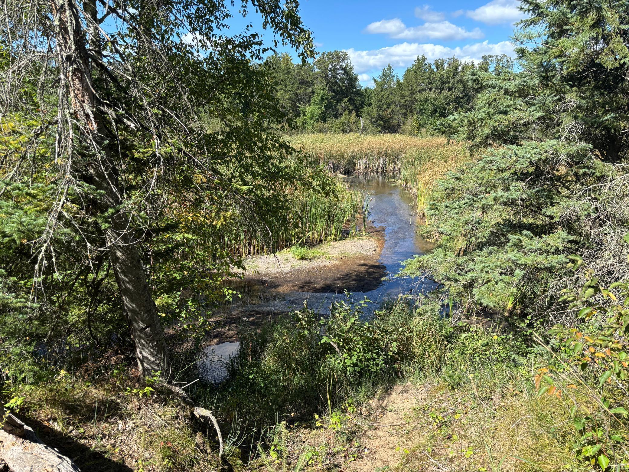 land for sale at TBD County Road 152 in Park Rapids, MN (photo 20 of 28)