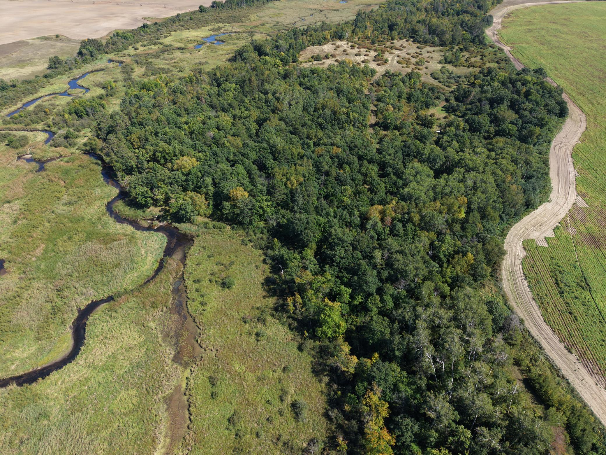 land for sale at TBD County Road 152 in Park Rapids, MN (photo 3 of 28)