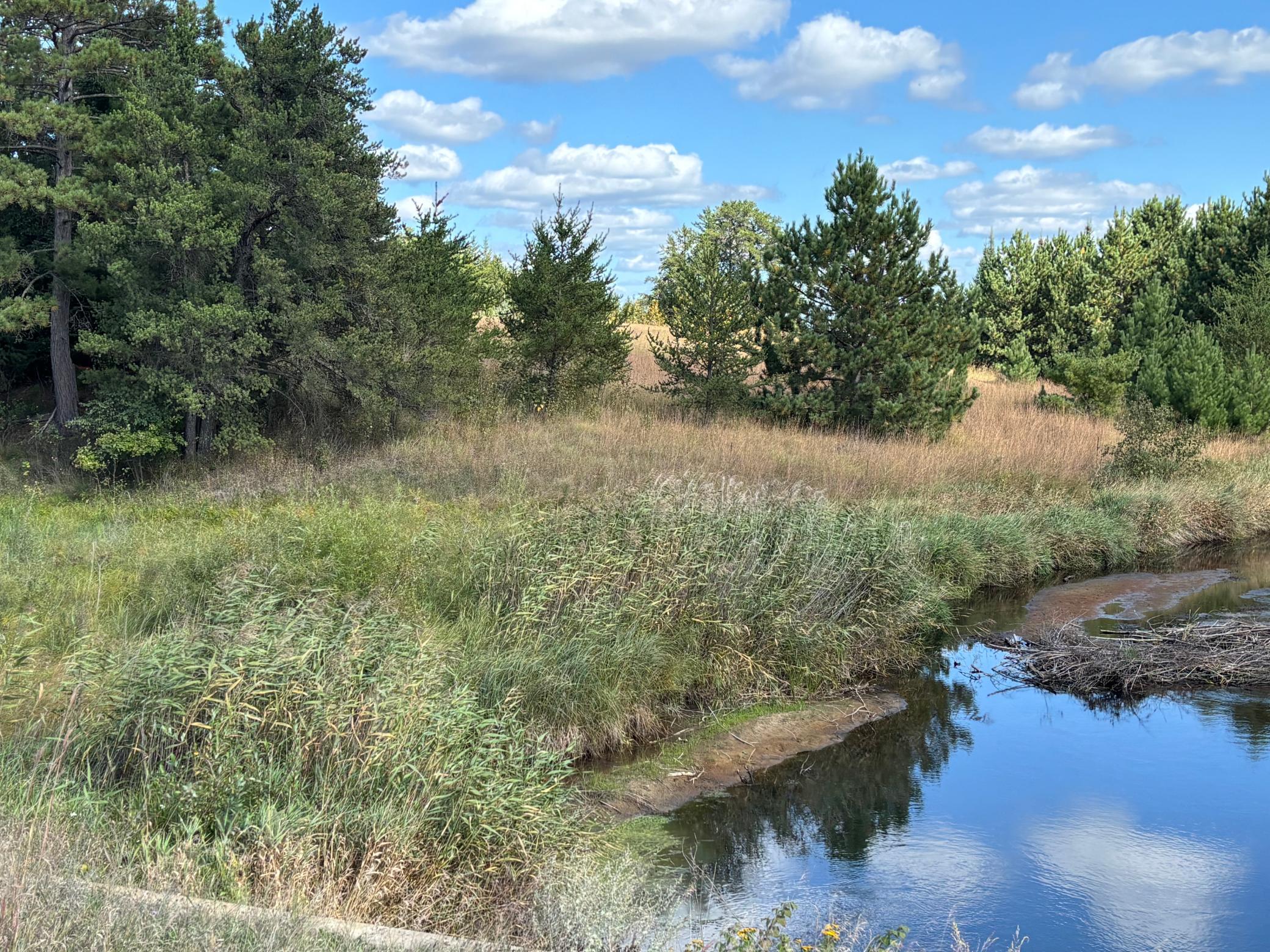 land for sale at TBD County Road 152 in Park Rapids, MN (photo 21 of 28)