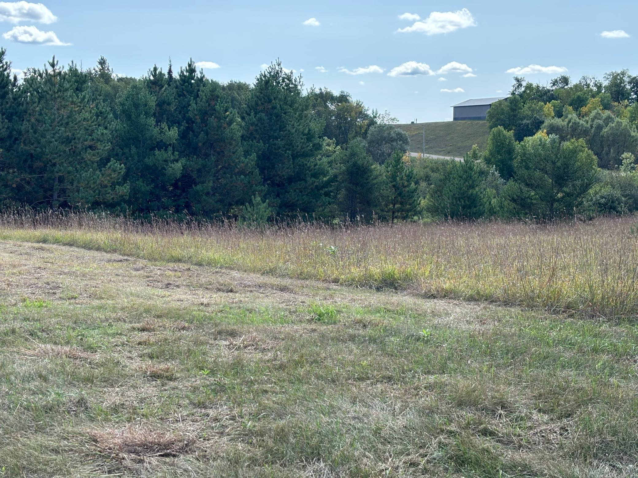 land for sale at TBD County Road 152 in Park Rapids, MN (photo 22 of 28)