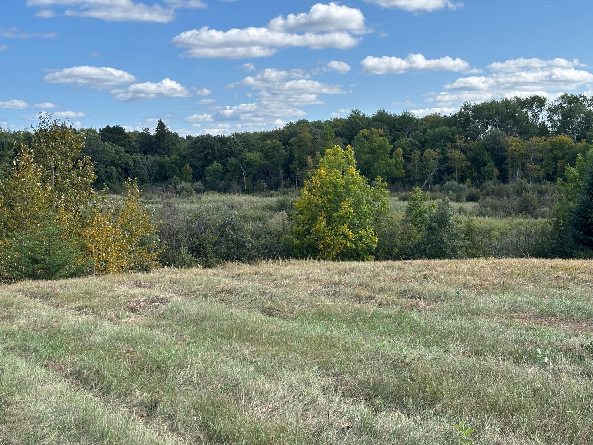 land for sale at TBD County Road 152 in Park Rapids, MN (photo 23 of 28)