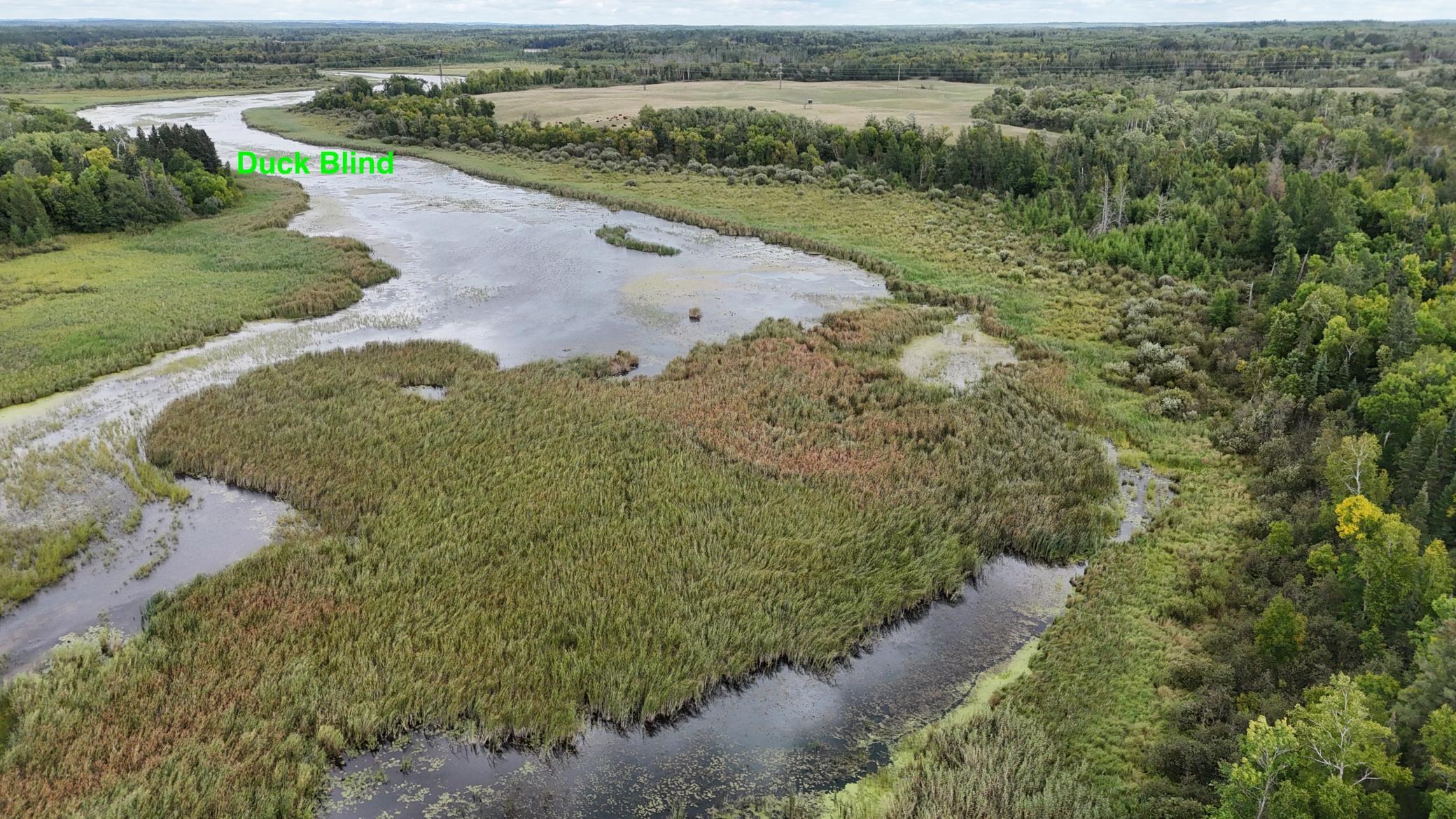 land for sale at TBD County Road 152 in Park Rapids, MN (photo 24 of 28)