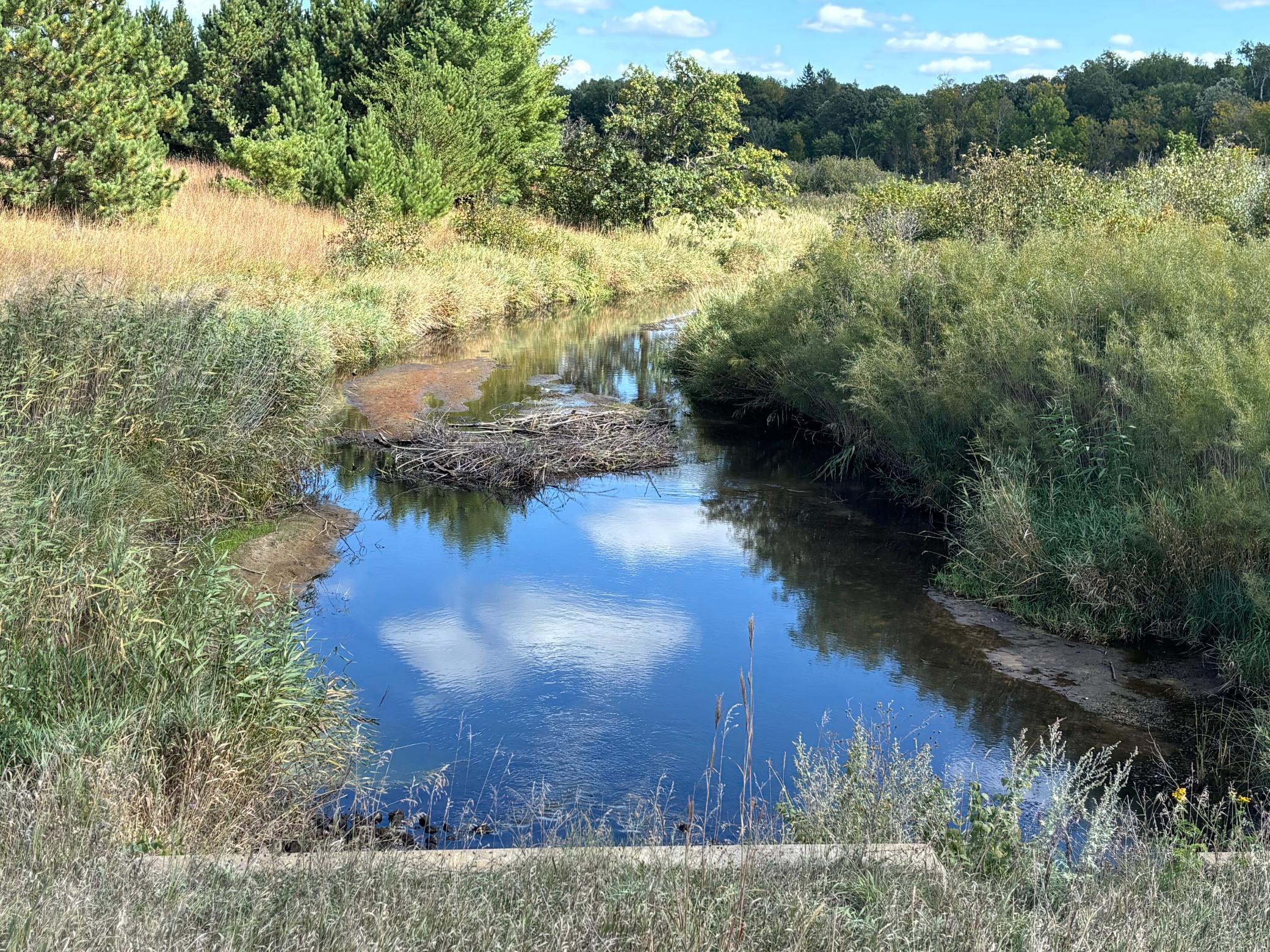 land for sale at TBD County Road 152 in Park Rapids, MN (photo 27 of 28)
