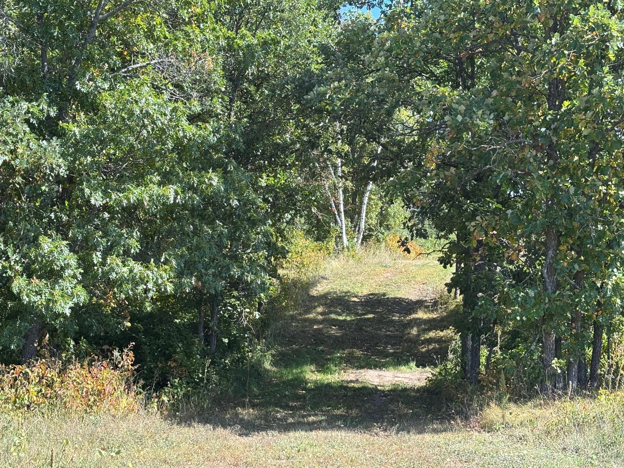 land for sale at TBD County Road 152 in Park Rapids, MN (photo 6 of 28)