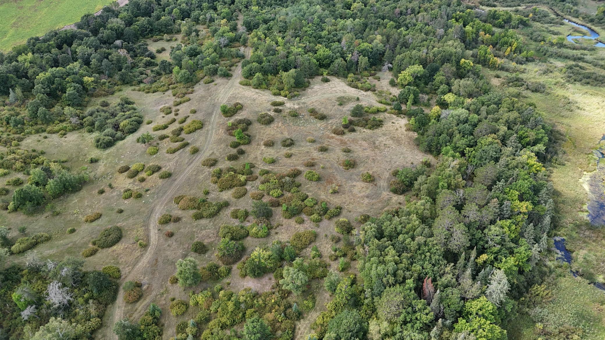 land for sale at TBD County Road 152 in Park Rapids, MN (photo 7 of 28)