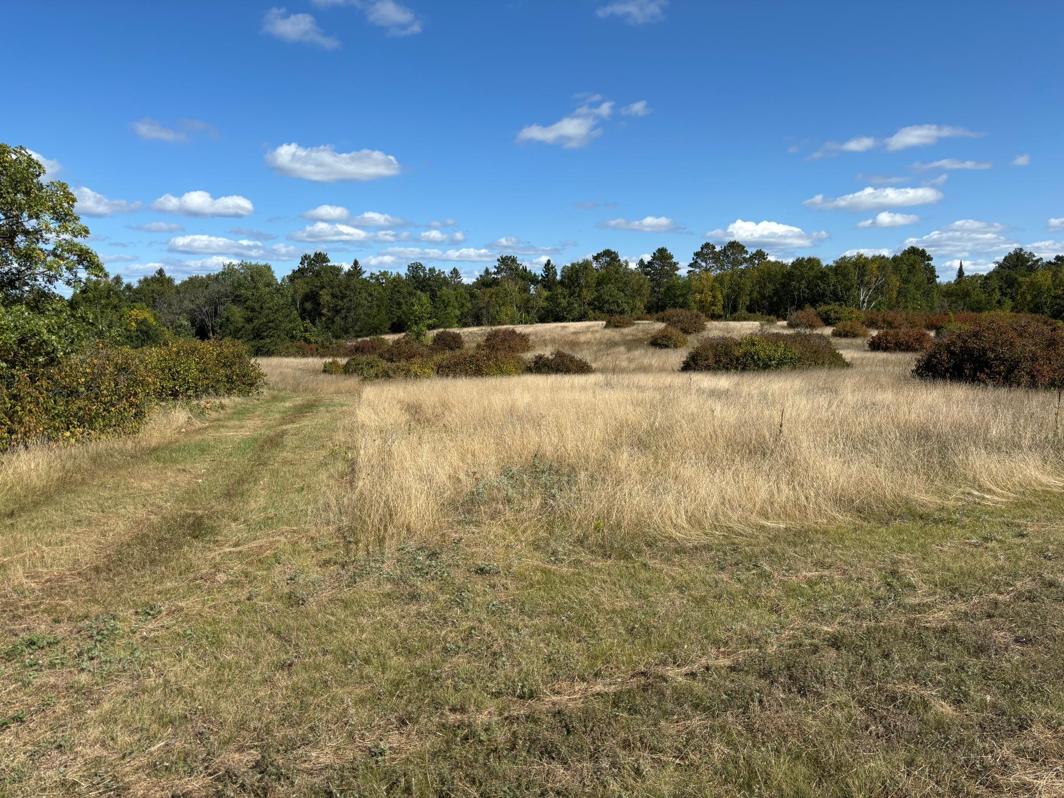 land for sale at TBD County Road 152 in Park Rapids, MN (photo 8 of 28)