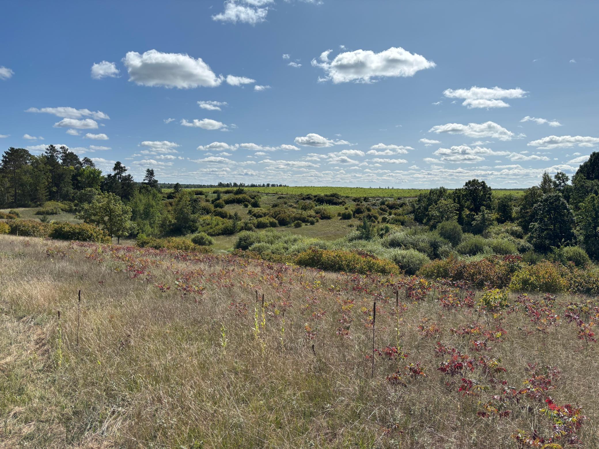 land for sale at TBD County Road 152 in Park Rapids, MN (photo 9 of 28)
