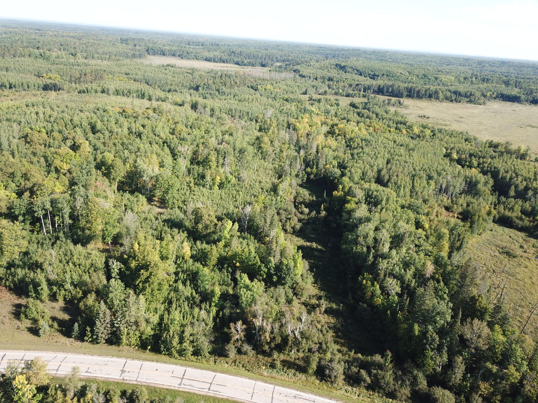 land for sale at TBD Lumberjack Road NW in Shevlin, MN (photo 13 of 51)