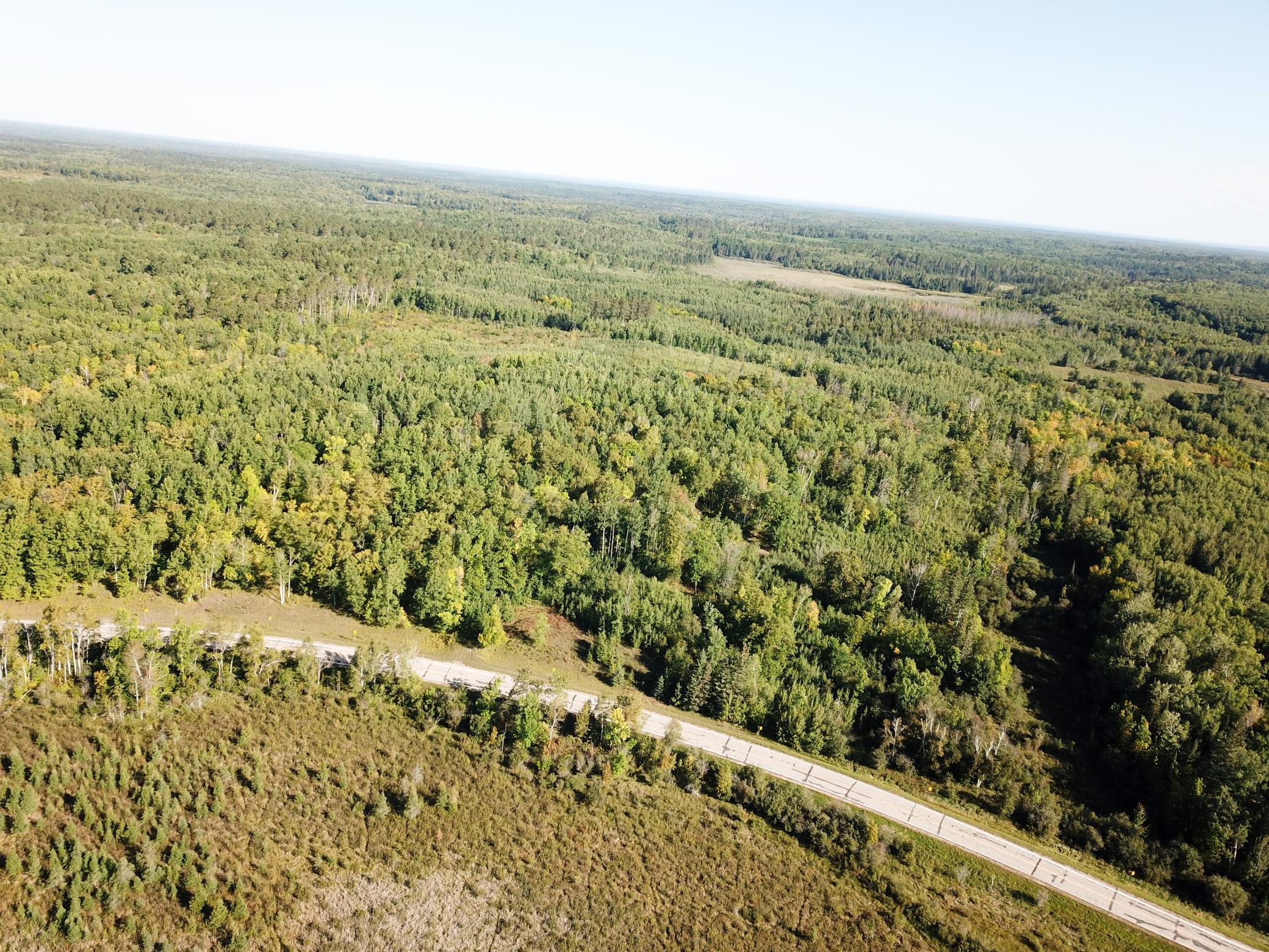 land for sale at TBD Lumberjack Road NW in Shevlin, MN (photo 15 of 51)