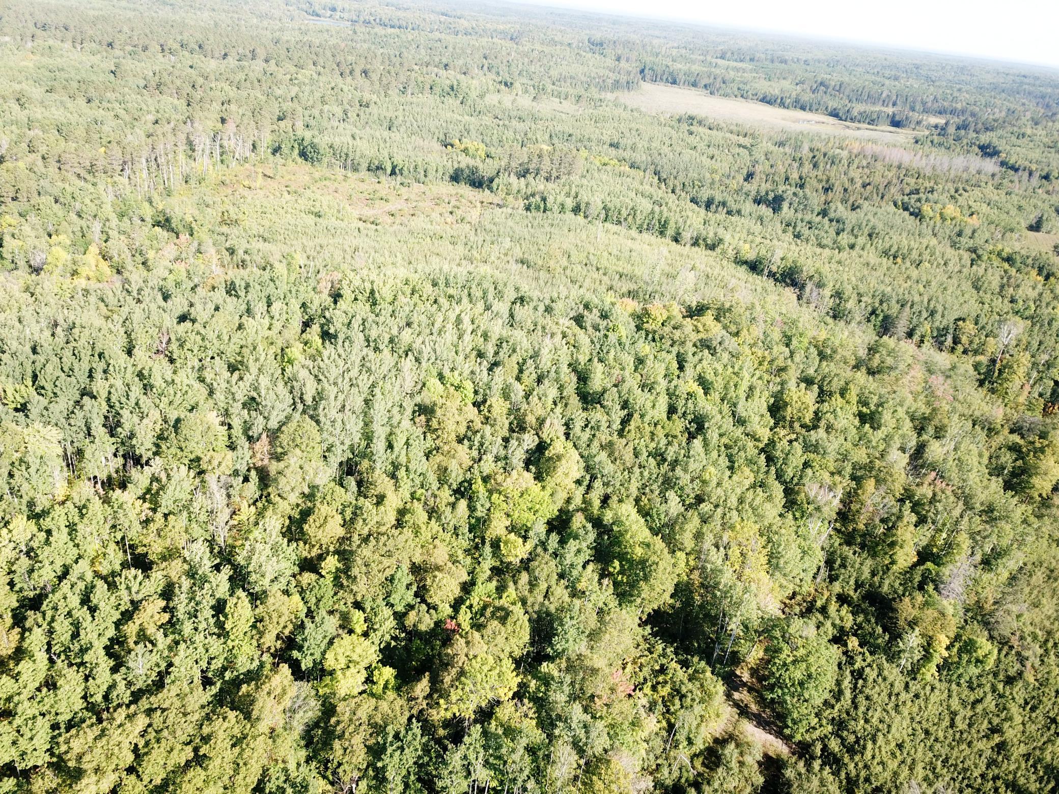 land for sale at TBD Lumberjack Road NW in Shevlin, MN (photo 16 of 51)