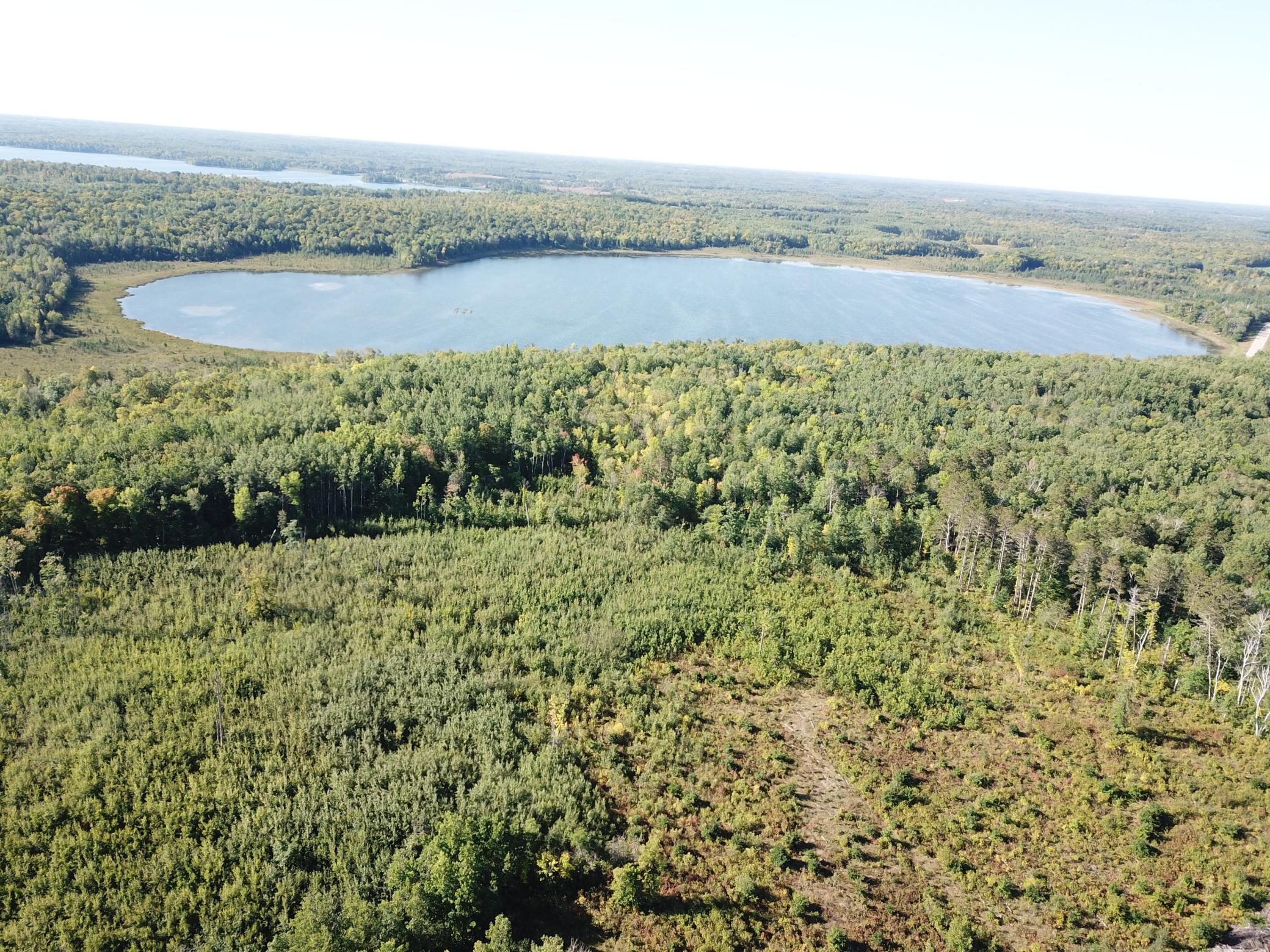 land for sale at TBD Lumberjack Road NW in Shevlin, MN (photo 20 of 51)