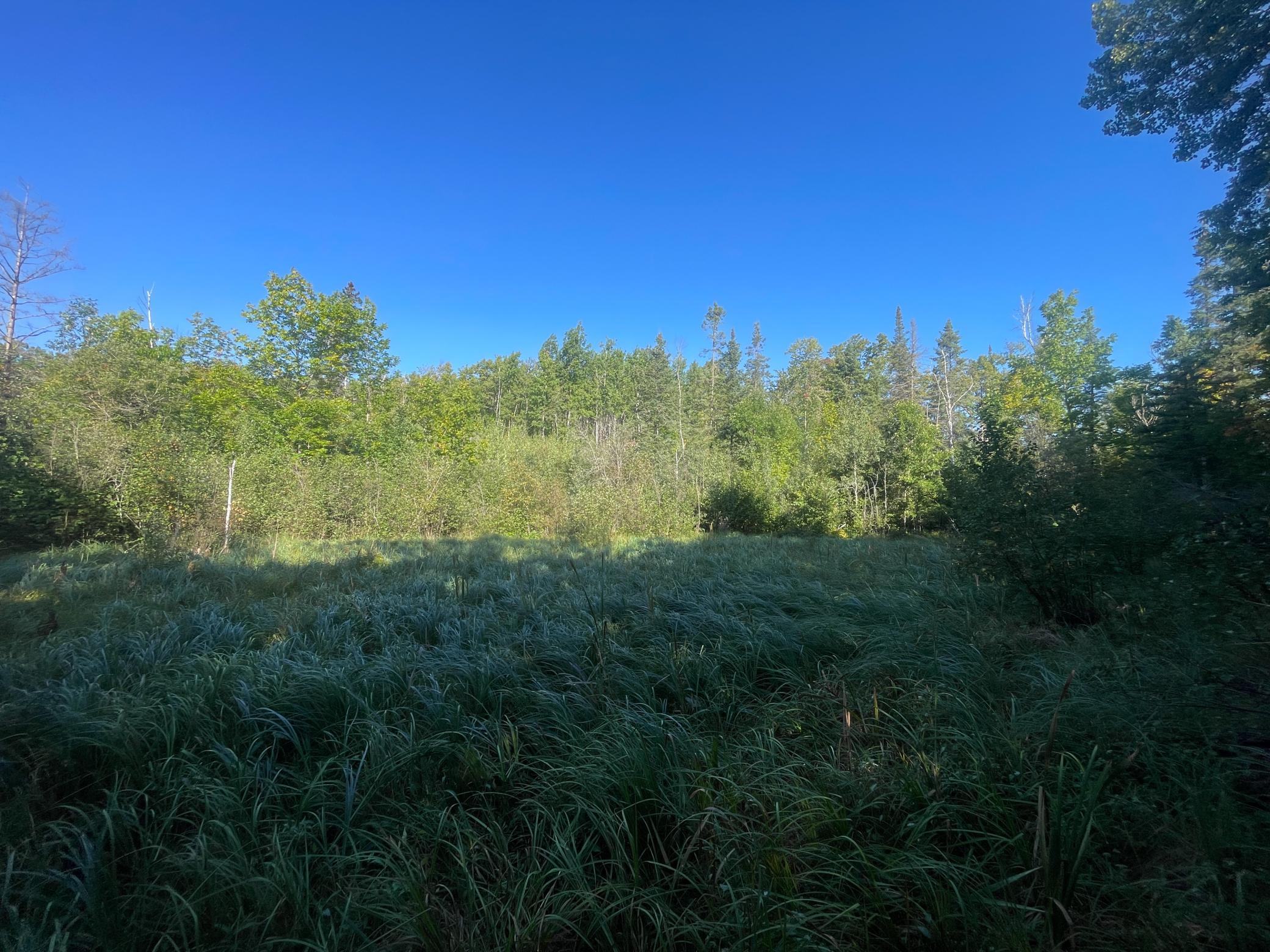 land for sale at TBD Lumberjack Road NW in Shevlin, MN (photo 23 of 51)