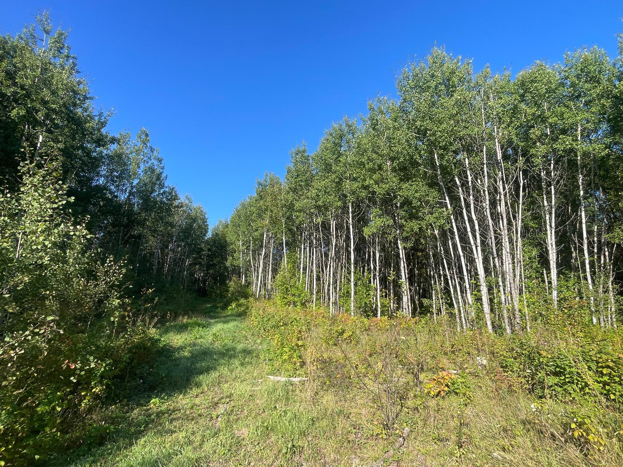 land for sale at TBD Lumberjack Road NW in Shevlin, MN (photo 25 of 51)