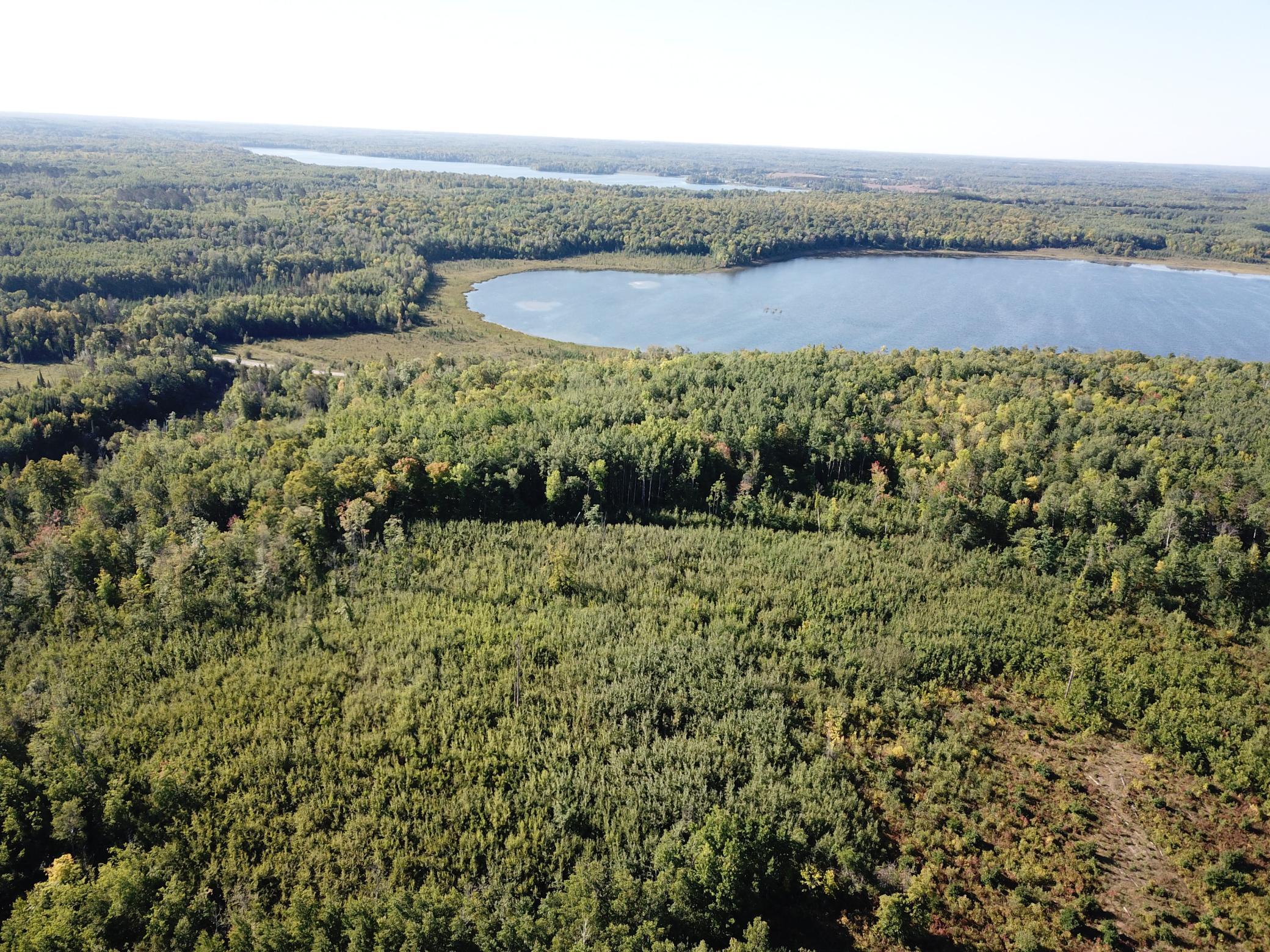 land for sale at TBD Lumberjack Road NW in Shevlin, MN (photo 4 of 51)