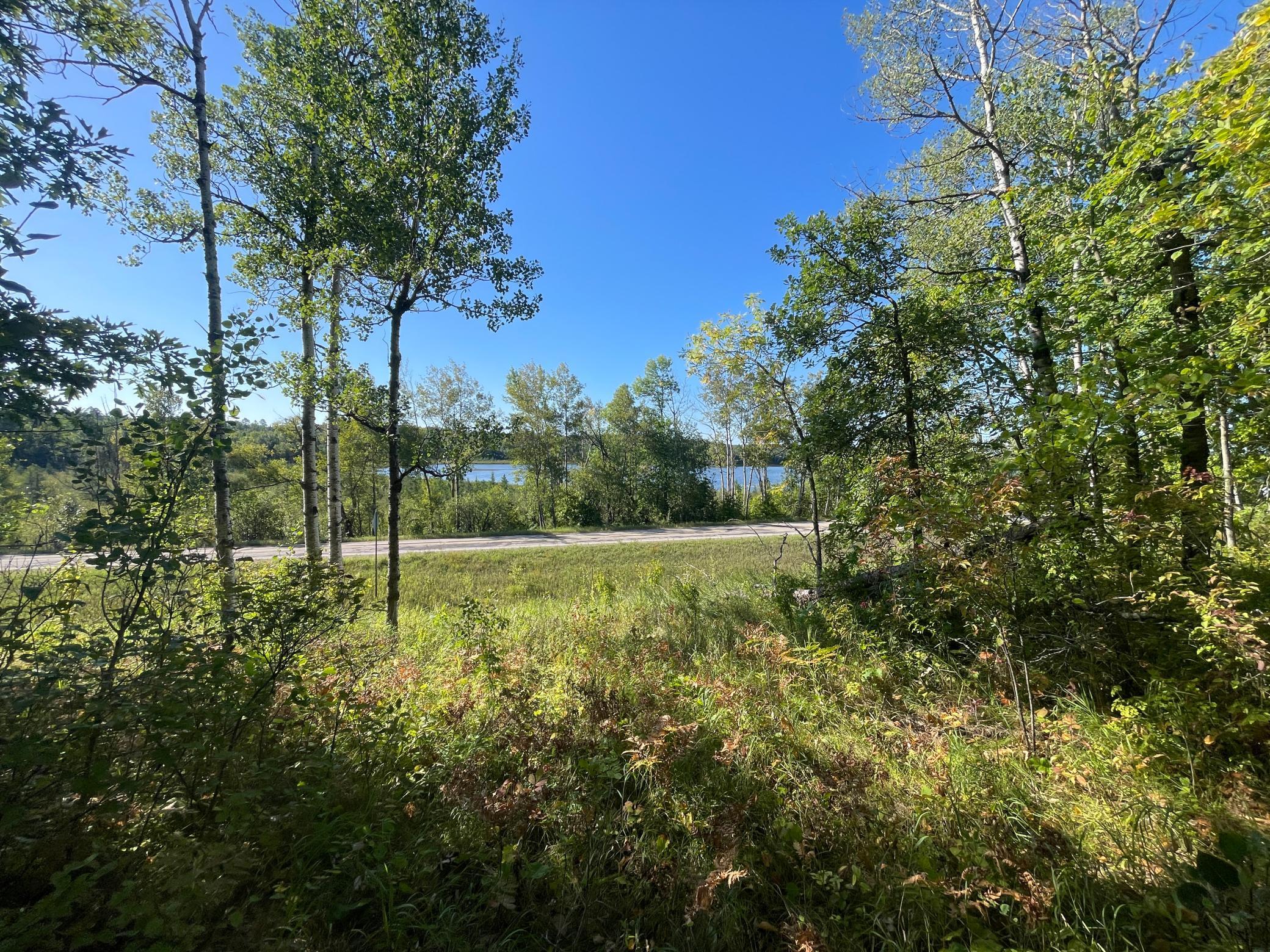 land for sale at TBD Lumberjack Road NW in Shevlin, MN (photo 31 of 51)