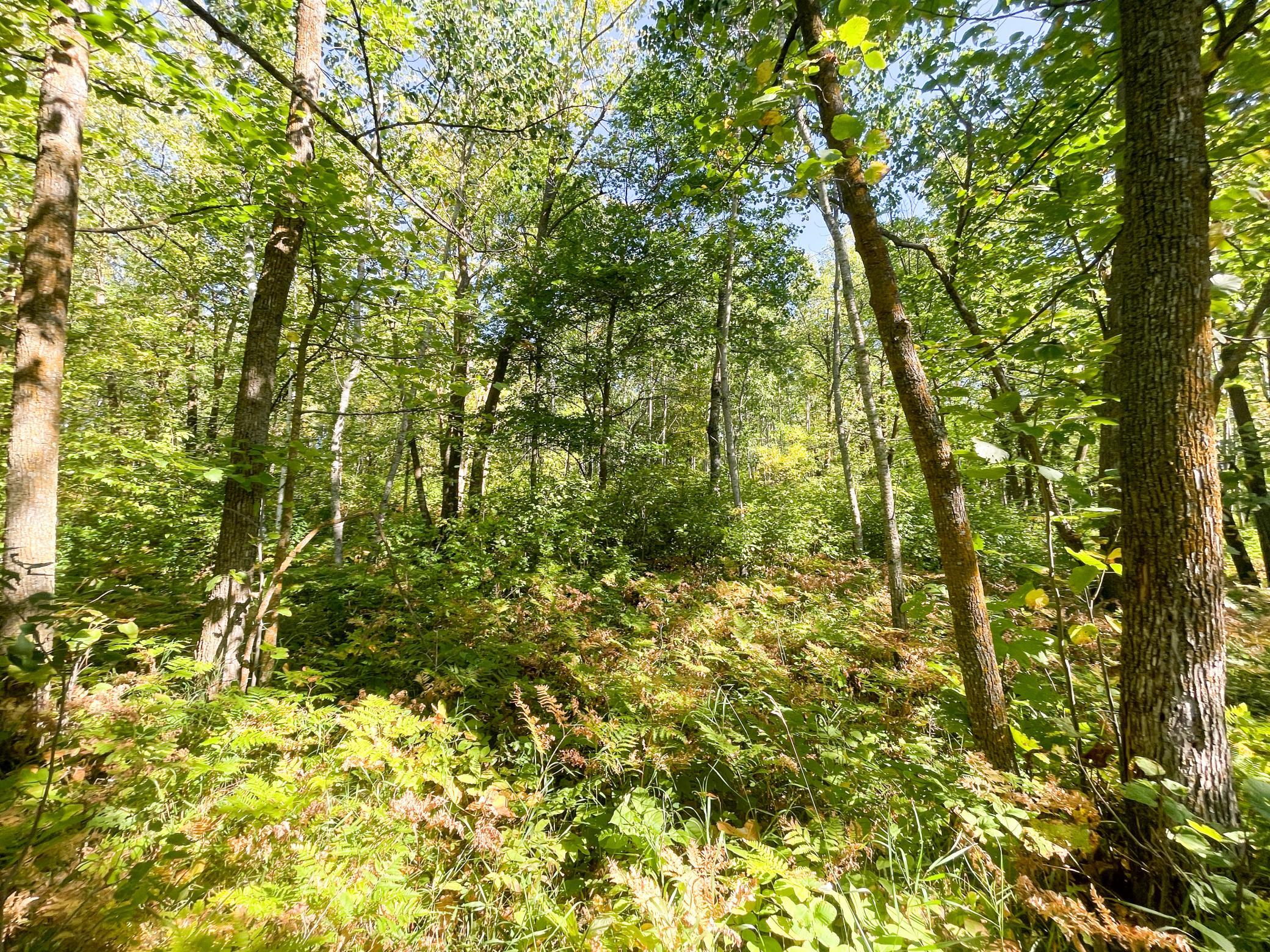 land for sale at TBD Lumberjack Road NW in Shevlin, MN (photo 32 of 51)