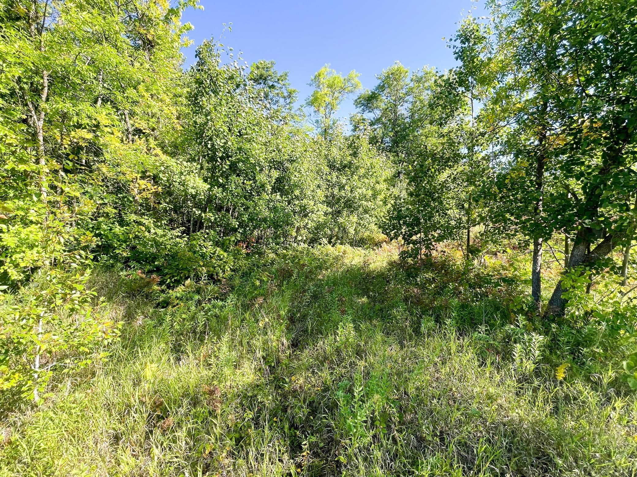 land for sale at TBD Lumberjack Road NW in Shevlin, MN (photo 33 of 51)