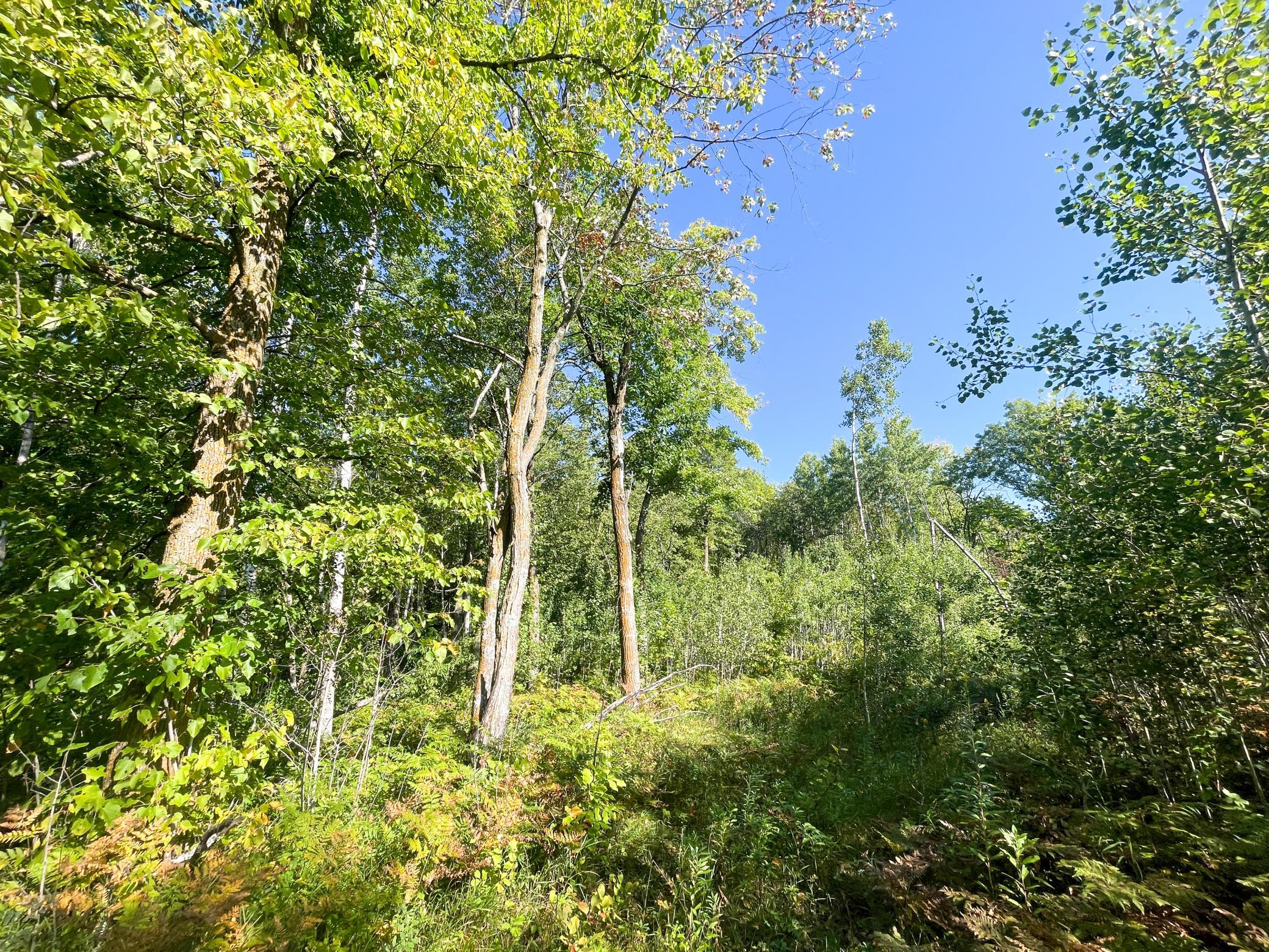 land for sale at TBD Lumberjack Road NW in Shevlin, MN (photo 34 of 51)