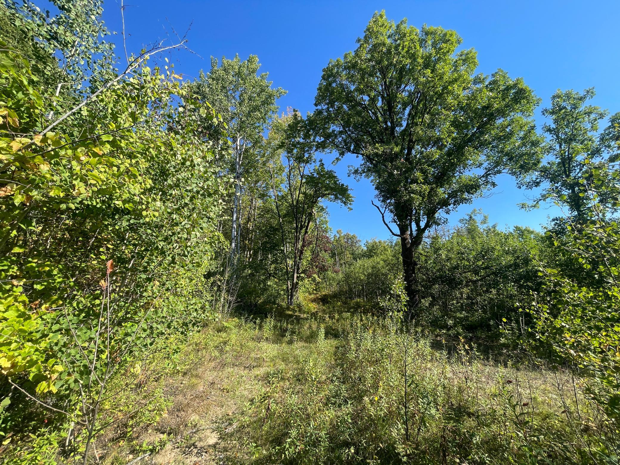 land for sale at TBD Lumberjack Road NW in Shevlin, MN (photo 35 of 51)