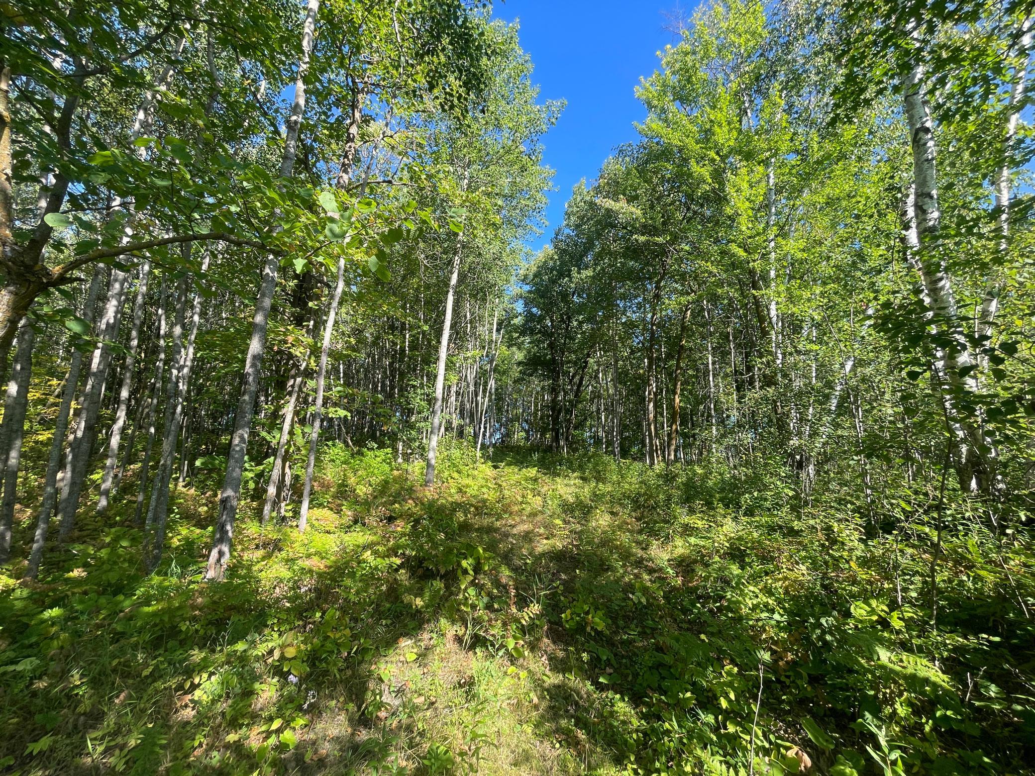 land for sale at TBD Lumberjack Road NW in Shevlin, MN (photo 36 of 51)