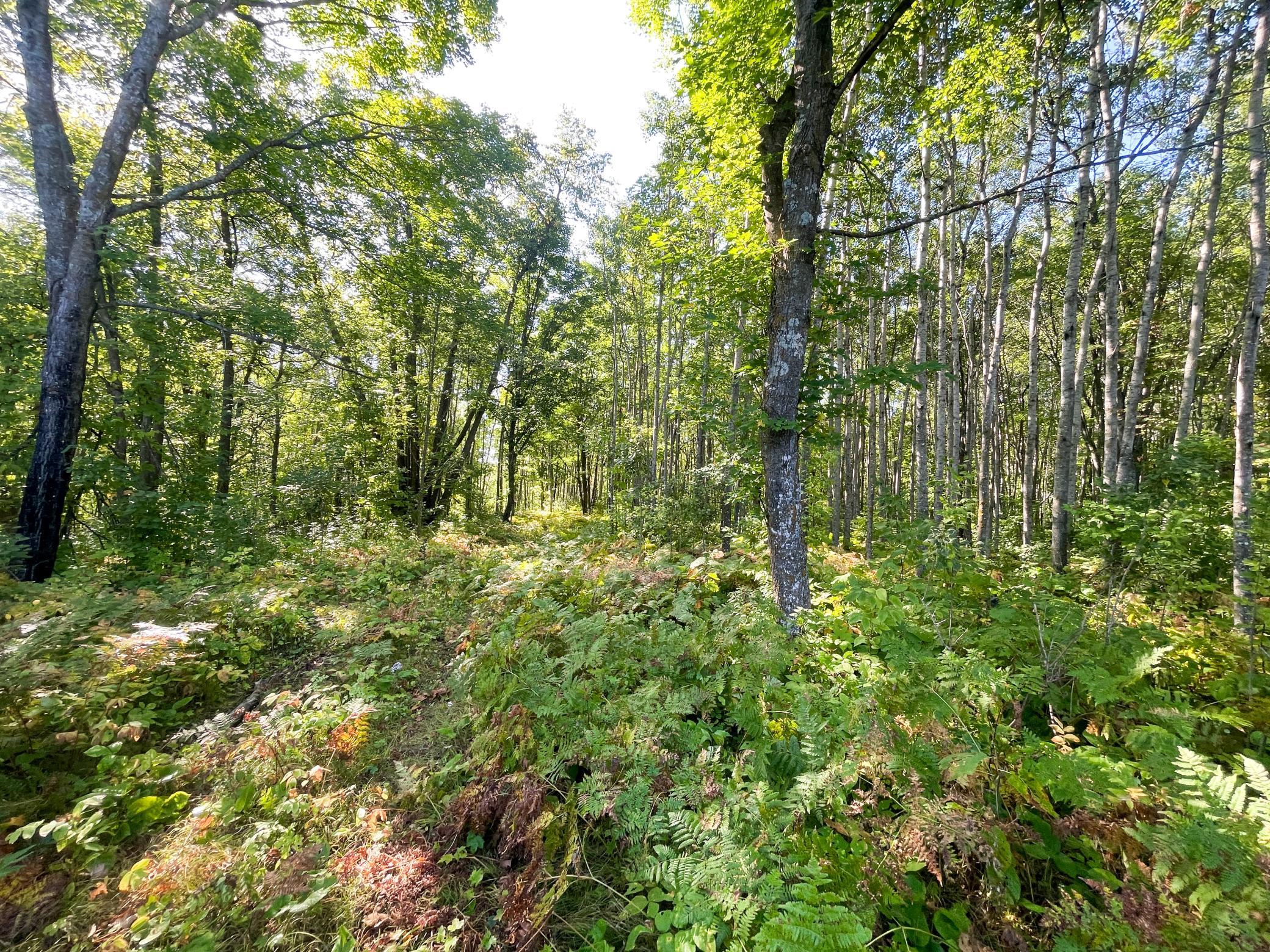 land for sale at TBD Lumberjack Road NW in Shevlin, MN (photo 40 of 51)