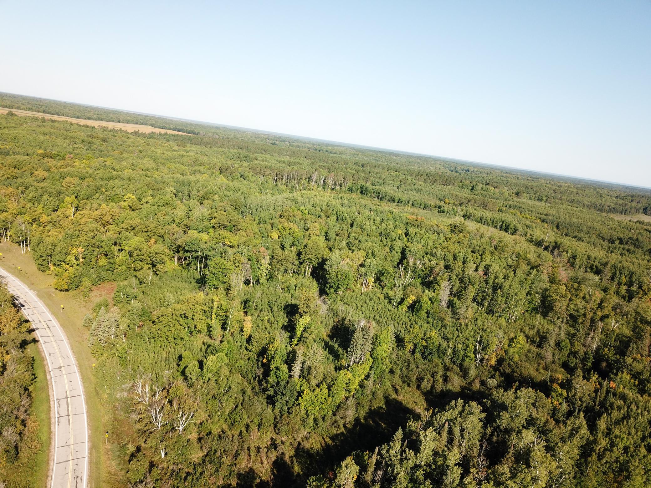 land for sale at TBD Lumberjack Road NW in Shevlin, MN (photo 8 of 51)
