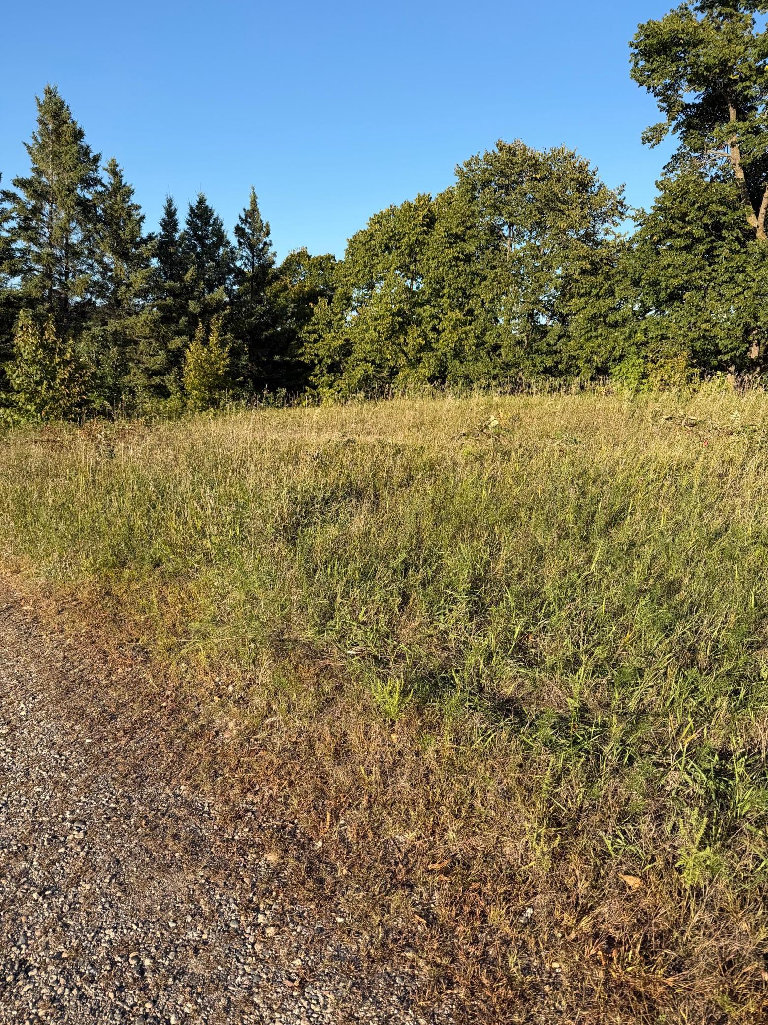 land for sale at 40740 Placid Drive in Dent, MN (photo 12 of 18)