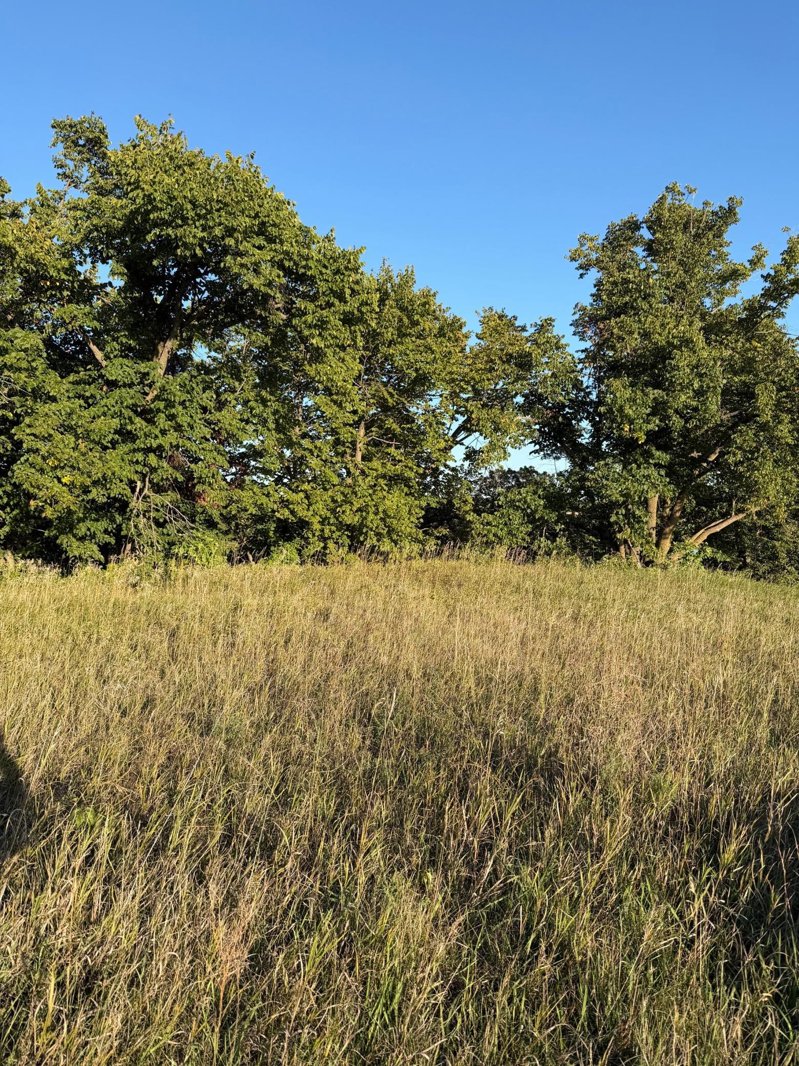land for sale at 40740 Placid Drive in Dent, MN (photo 13 of 18)