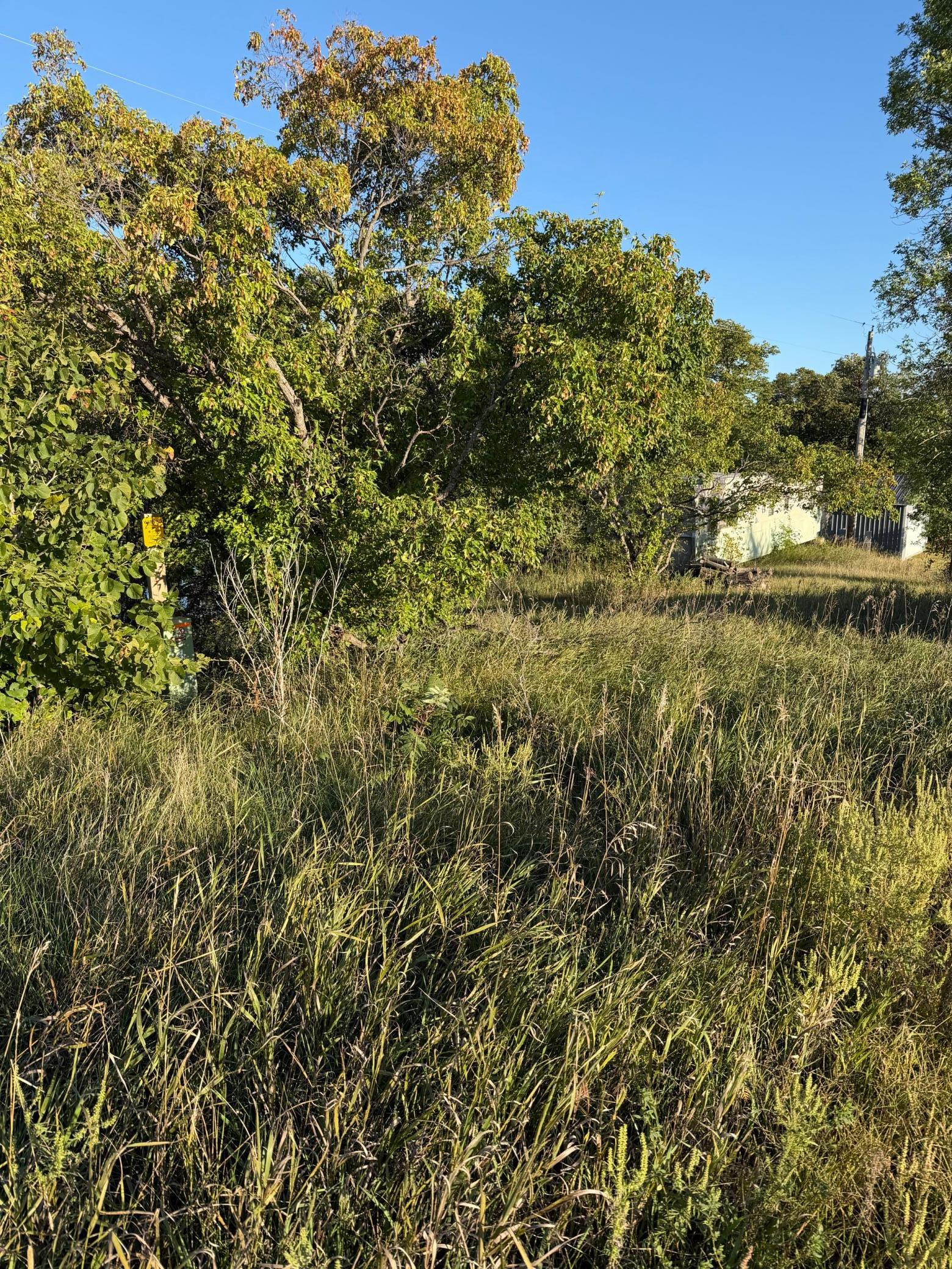 land for sale at 40740 Placid Drive in Dent, MN (photo 14 of 18)